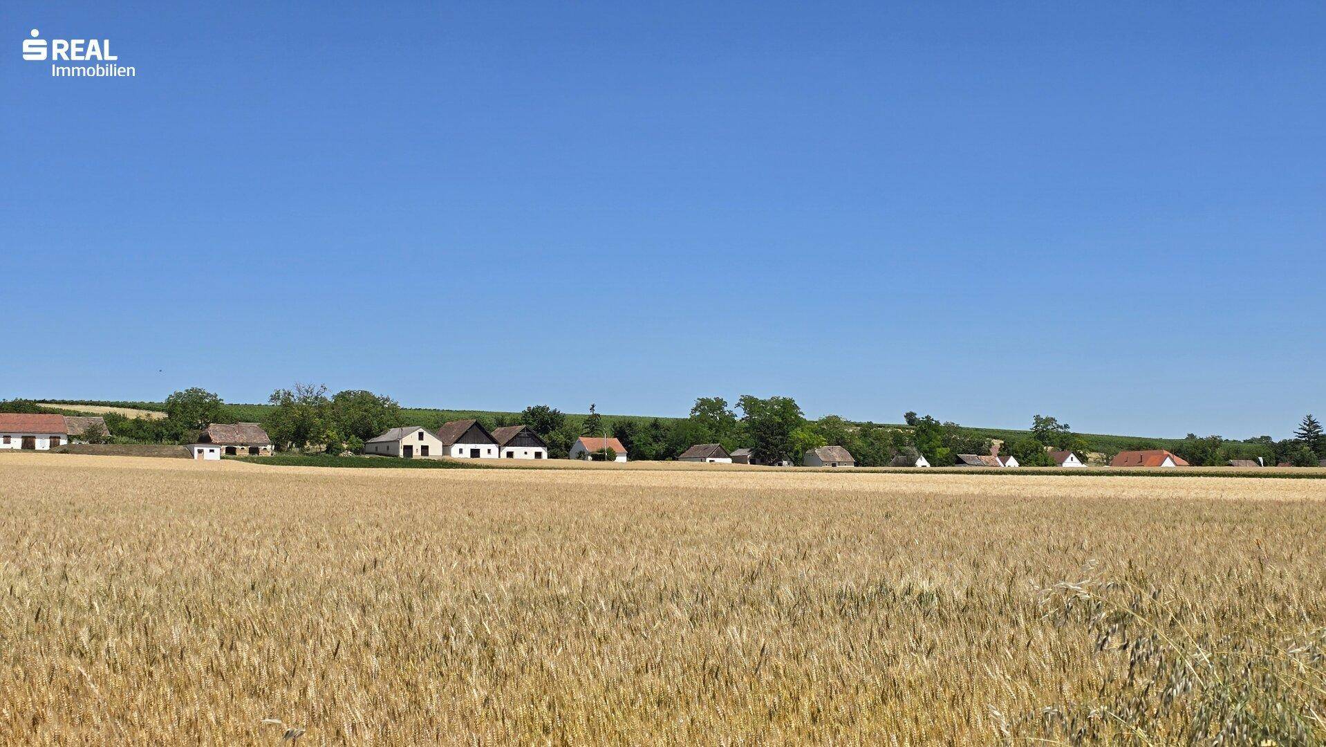 Umgebung