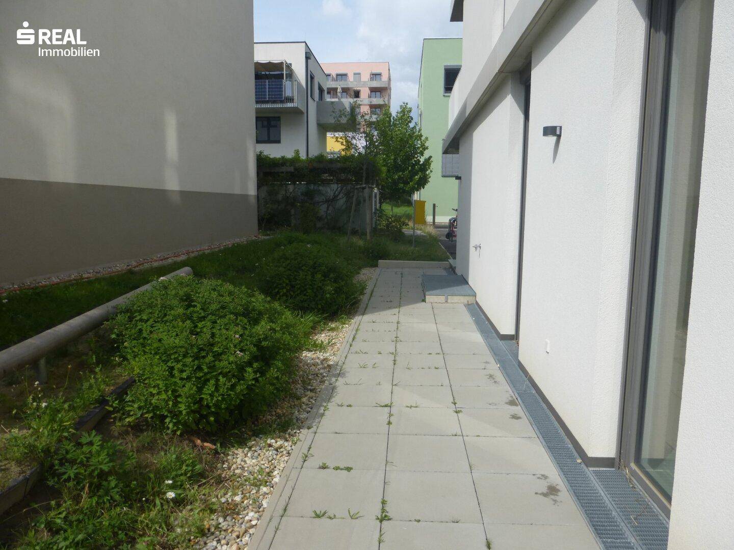 Slide 5