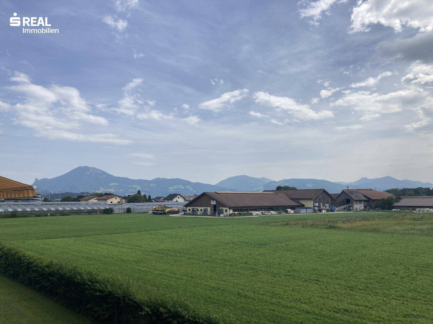 Aussicht Gaisberg