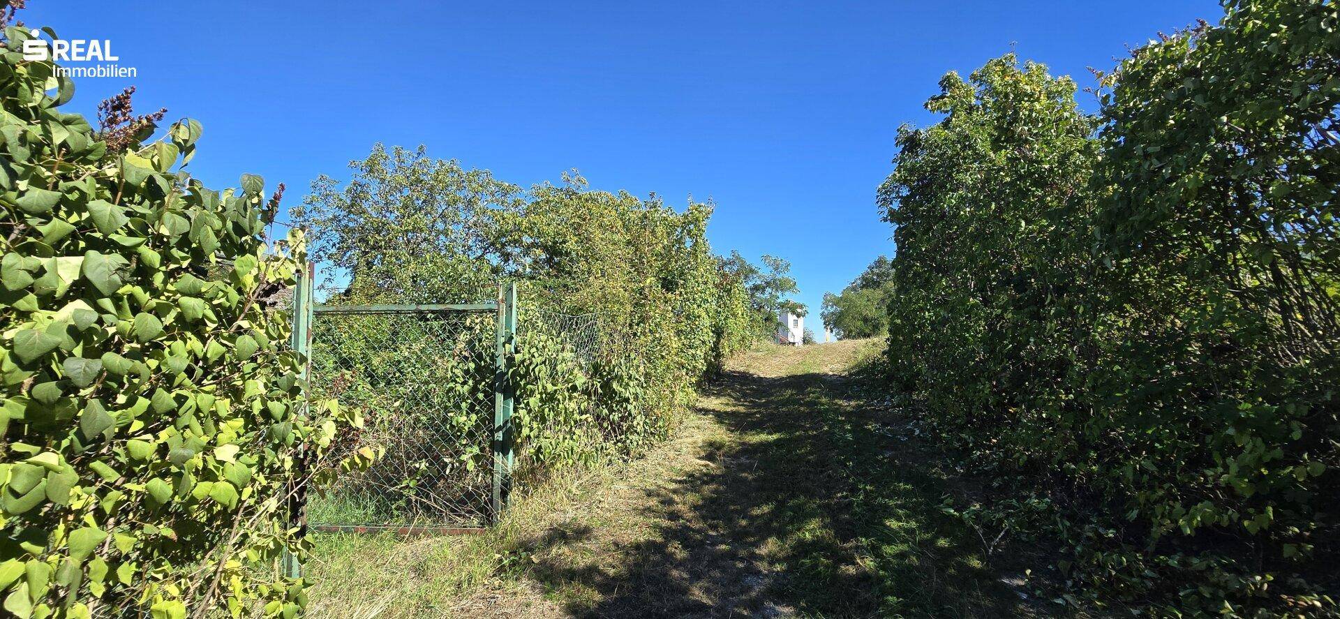 Hinterseite_Garten