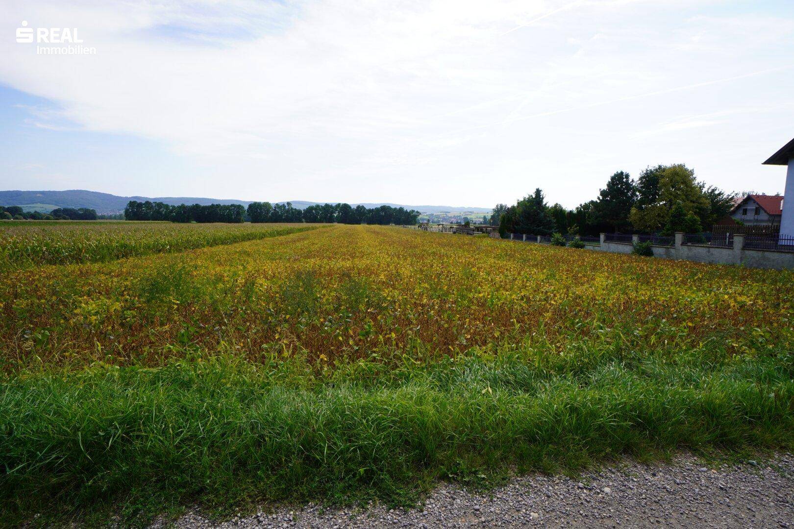 Ansicht 3