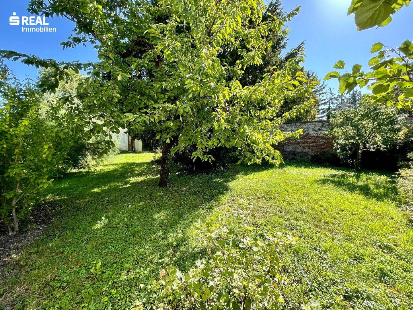 Garten Perspektive 1