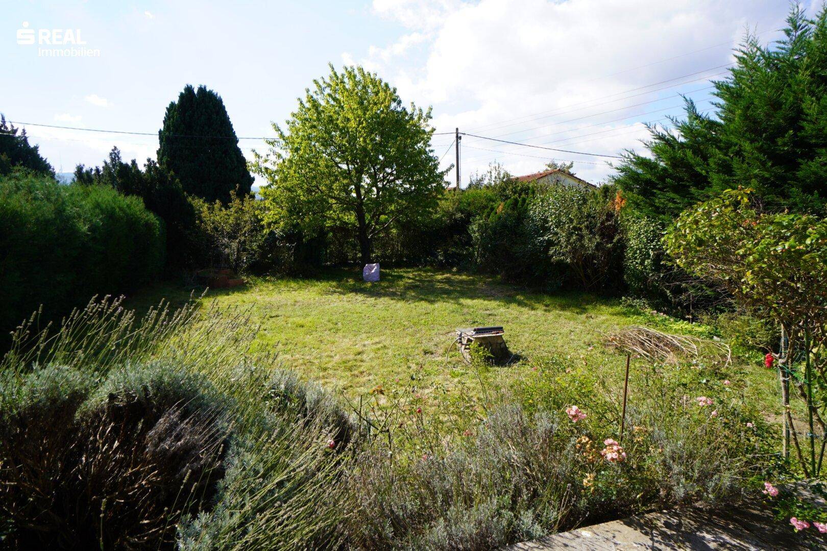 Garten 1