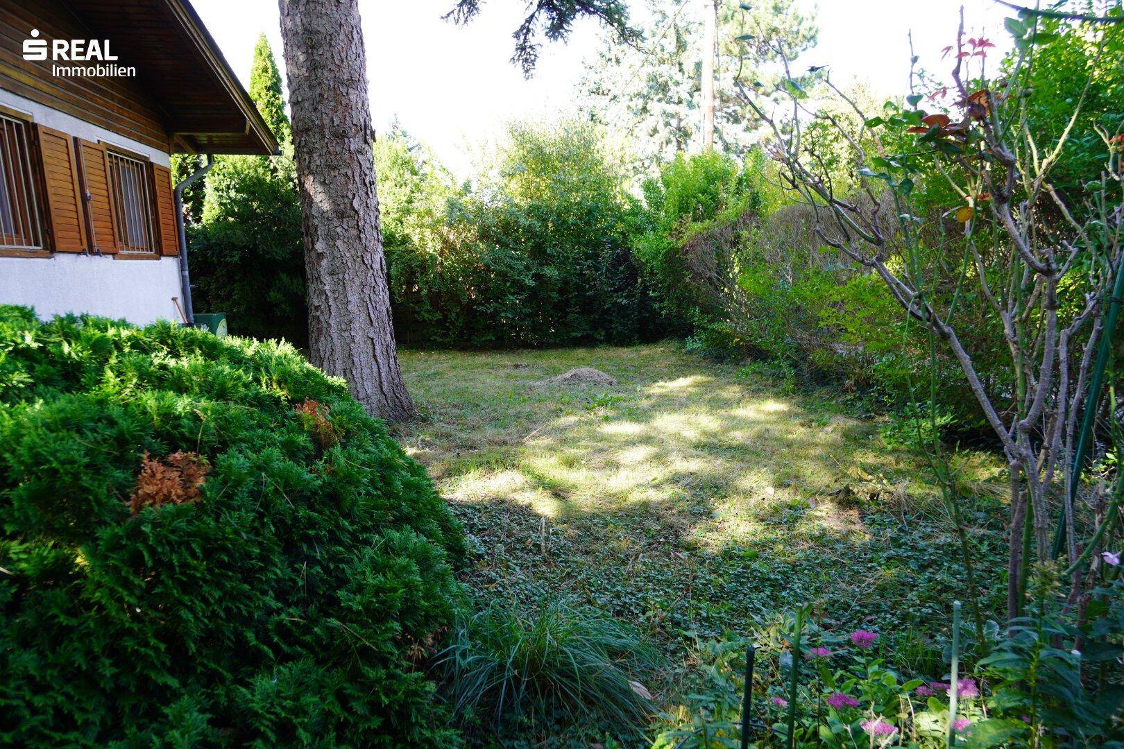 Garten 2