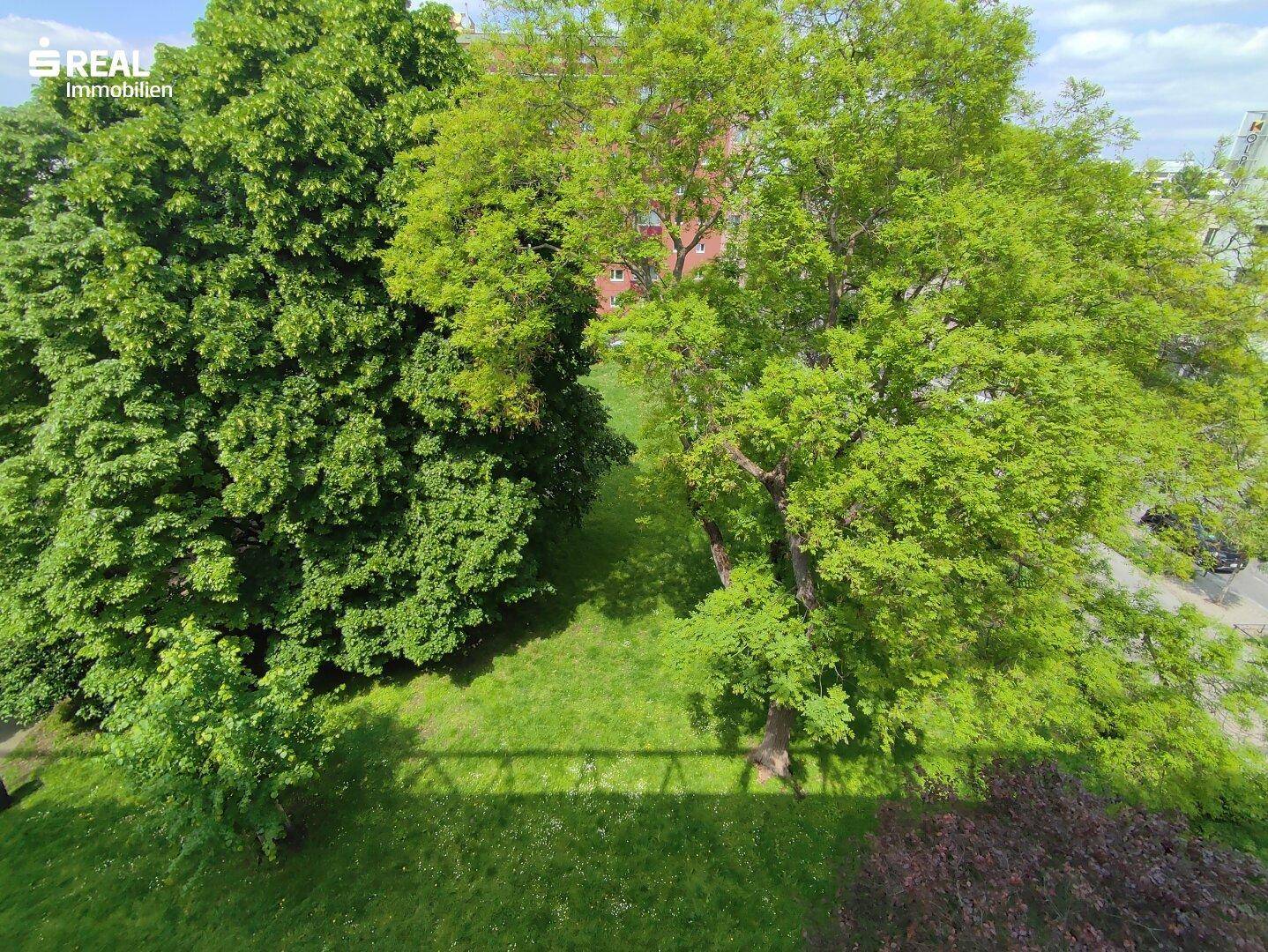 Slide 6
