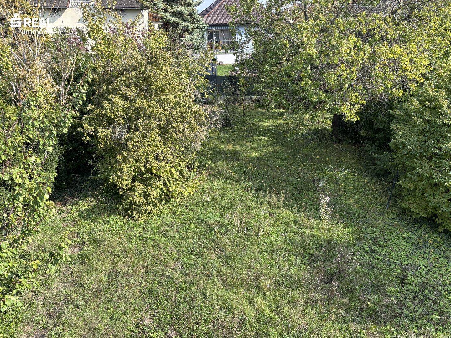 Garten 2