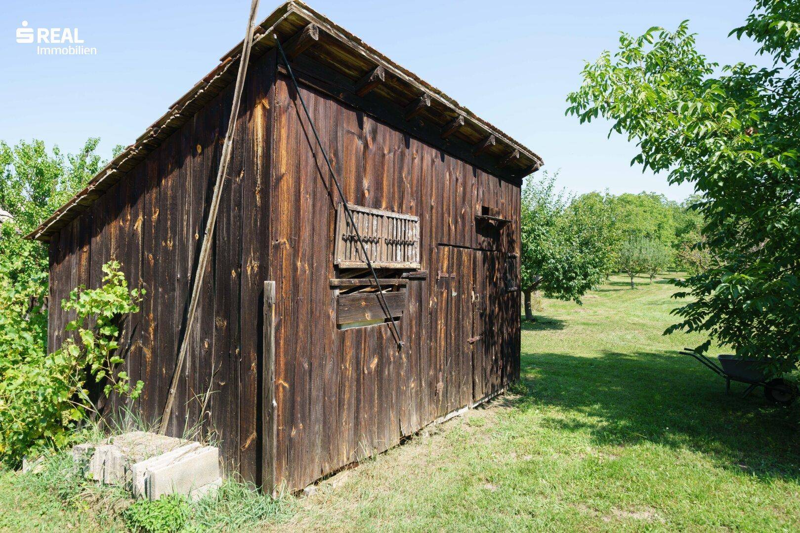 Alter Holzschuppen im Garten mit rustikalem Charme und umgebenden Bäumen.
