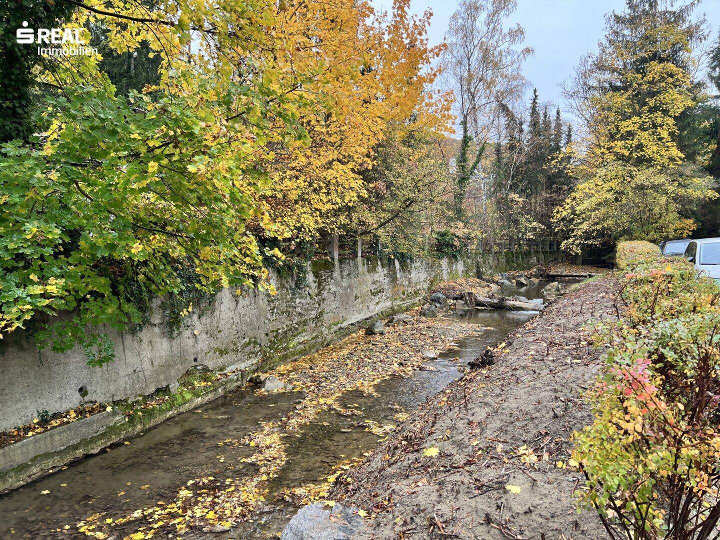 Kleiner Bachlauf mit herbstlichem Laub und bewachsenen Ufern.