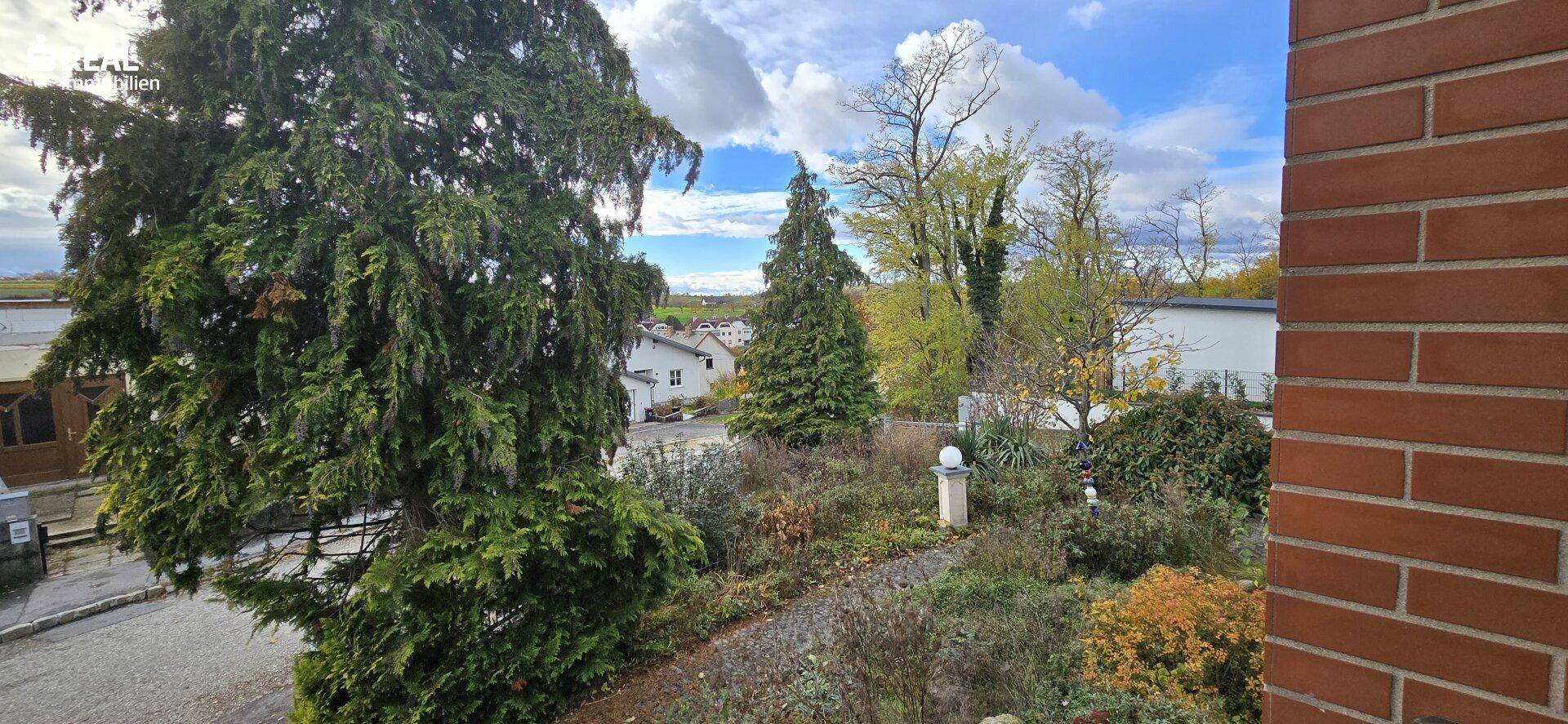 Blick SZ Terrasse