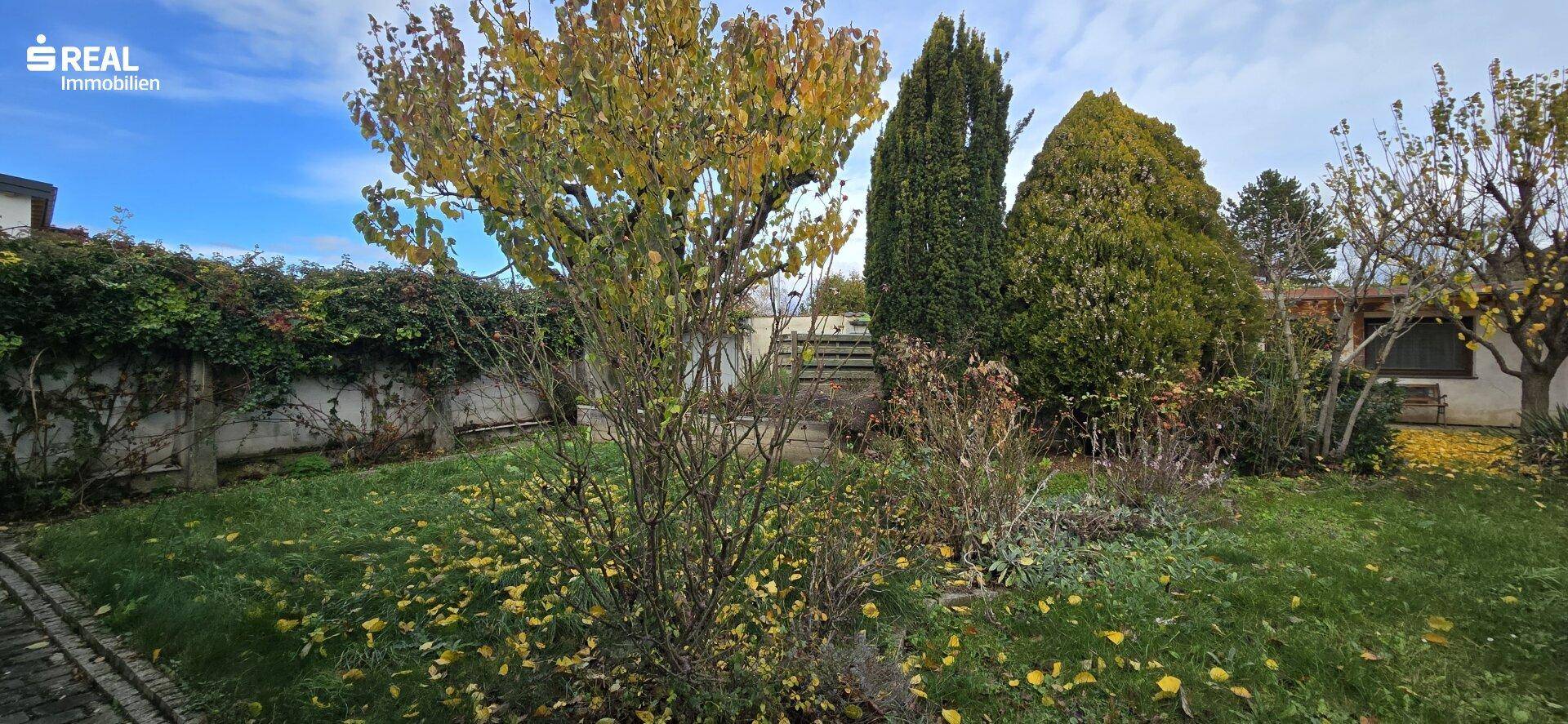 Garten 2