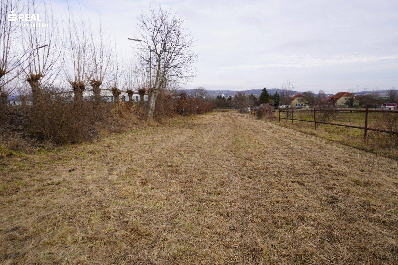 Unbebautes Grundstück mit Blick auf die weite Landschaft und eine Reihe von Bäumen am Horizont.
