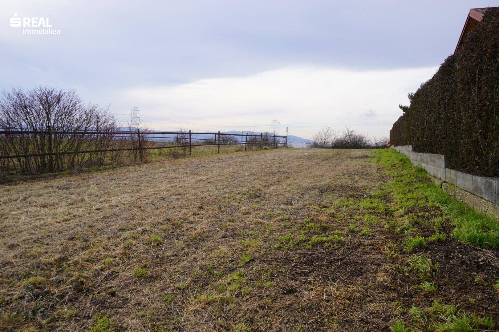 Weitläufiges Grundstück mit Blick auf die umliegende Natur und ein angrenzendes Gebäude mit Hecke.