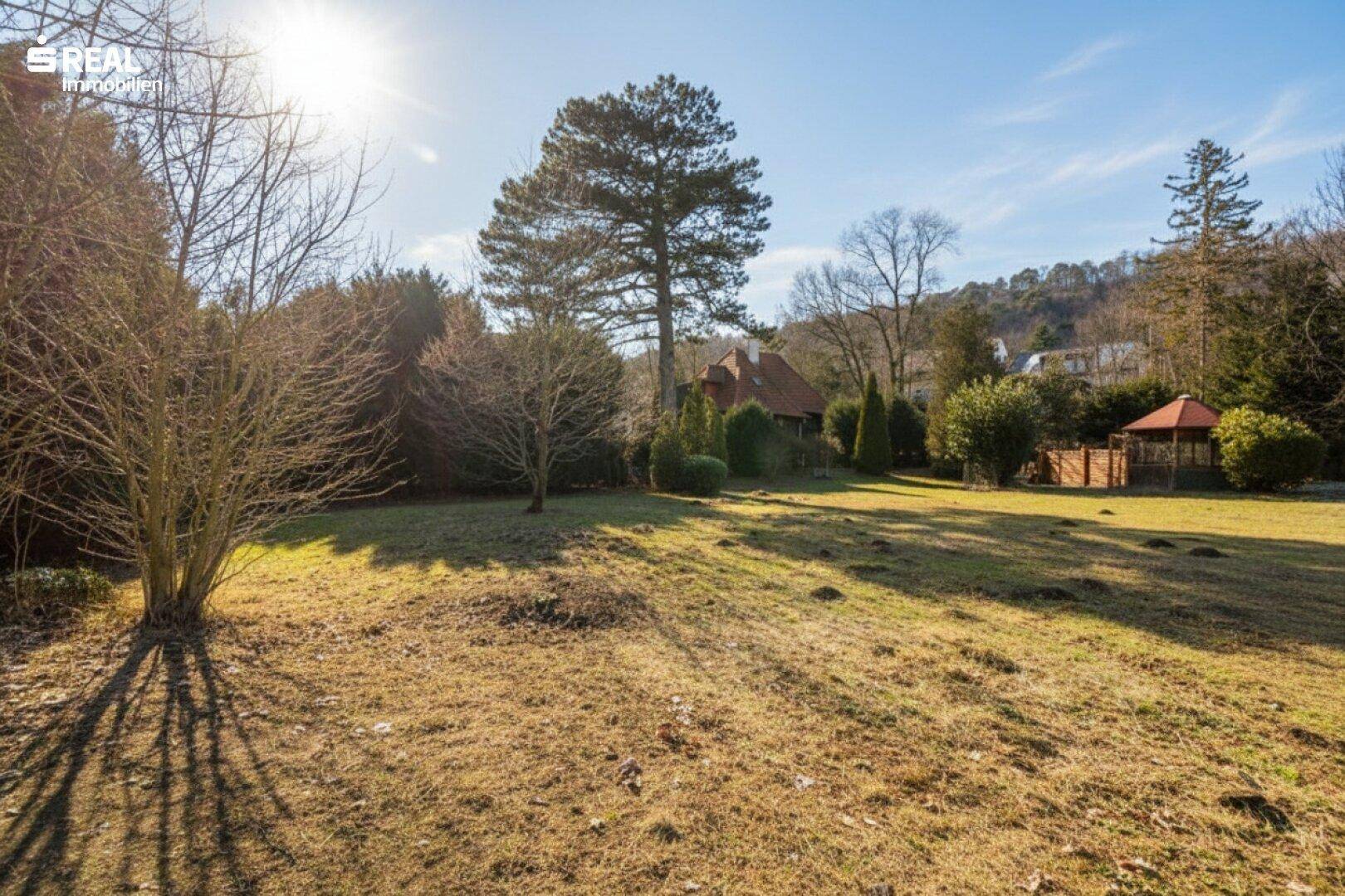 Sonniger Garten mit Rasenfläche, Bäumen und dem Haus im Hintergrund unter strahlendem Himmel.