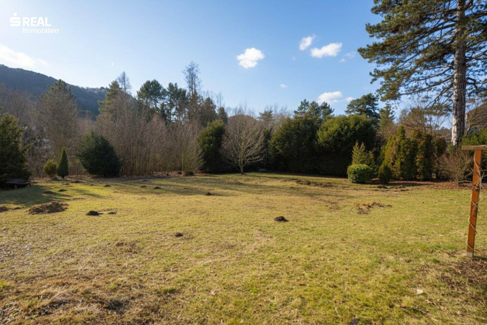 Sonniger Garten mit weitläufiger Rasenfläche und Blick auf die umliegende Naturlandschaft.