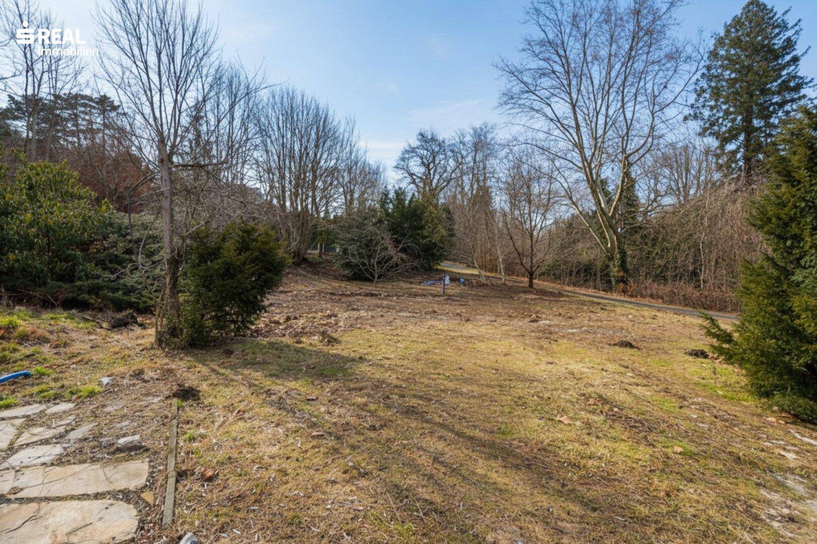 Weitläufiges Gartengrundstück mit Bäumen und einer teilweise gepflasterten Fläche.