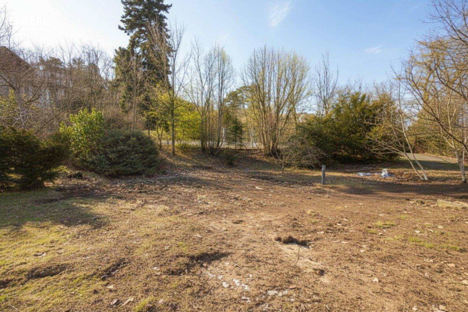 Offenes Gartengrundstück mit spärlicher Vegetation und Blick auf die bewaldete Umgebung.