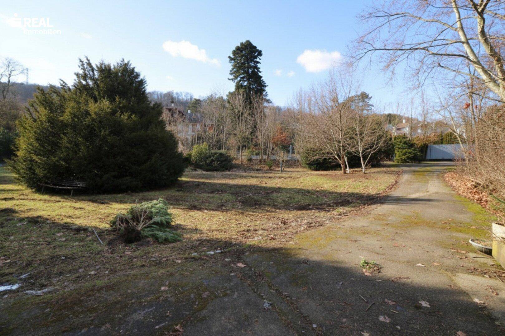 Großes Gartengrundstück mit Zufahrt, umgeben von Bäumen und Blick auf die Nachbarschaft.