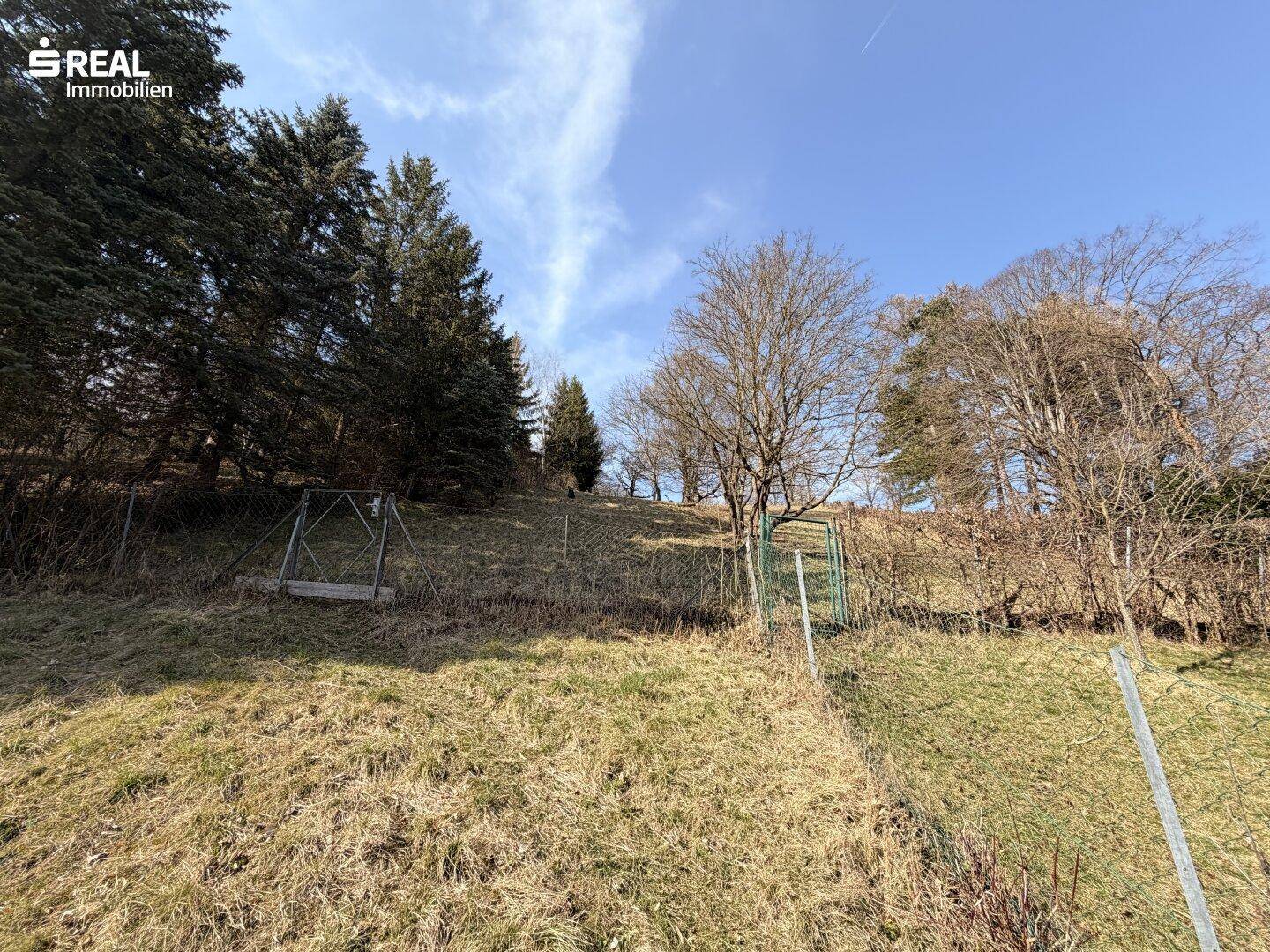 Große, naturbelassene Rasenfläche am Hang mit Bäumen und weitem Blick in die Landschaft.