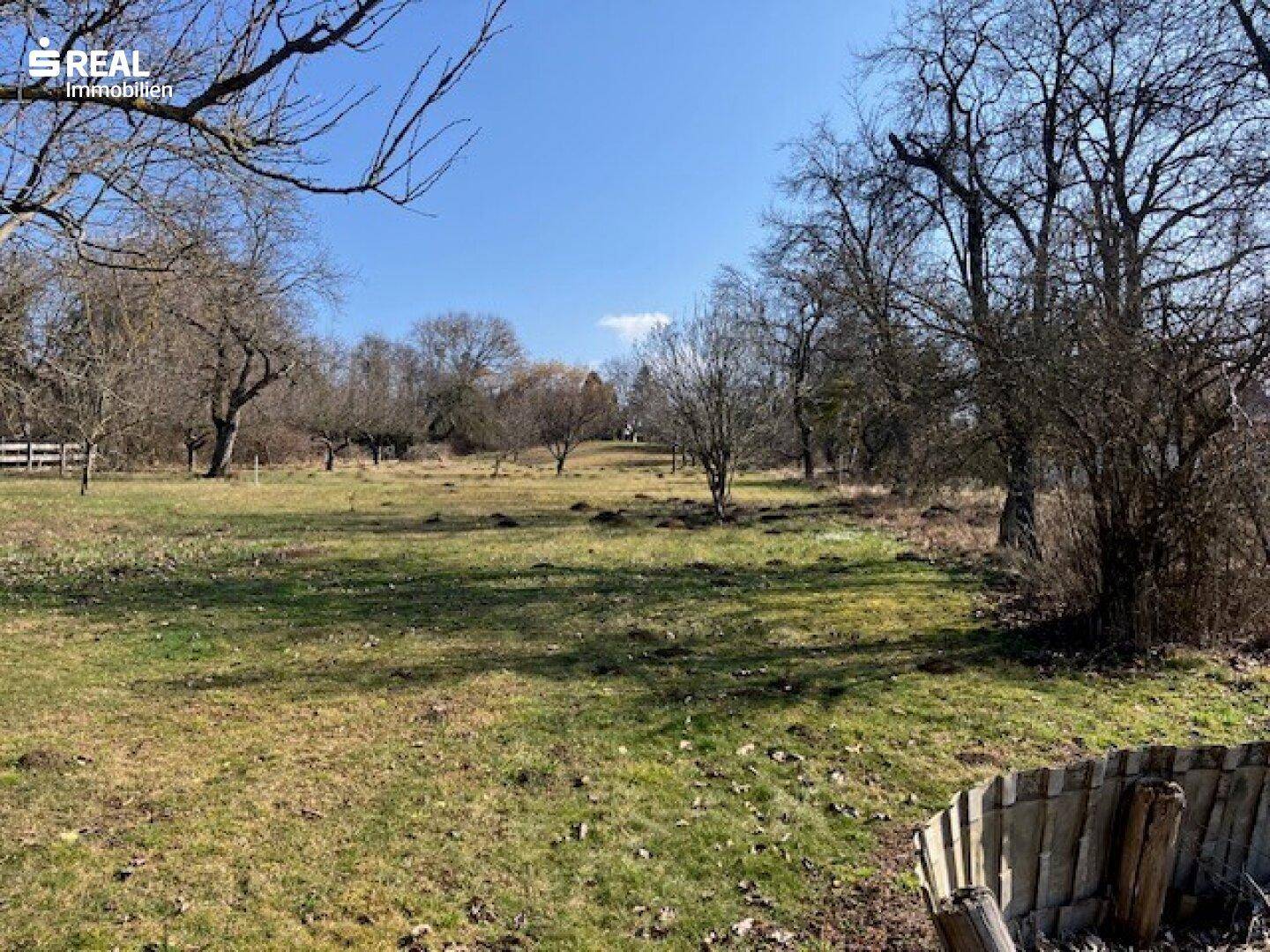 Weitläufige Grünfläche mit Bäumen und Wiese unter blauem Himmel, ideal für ländliche Ruhe.