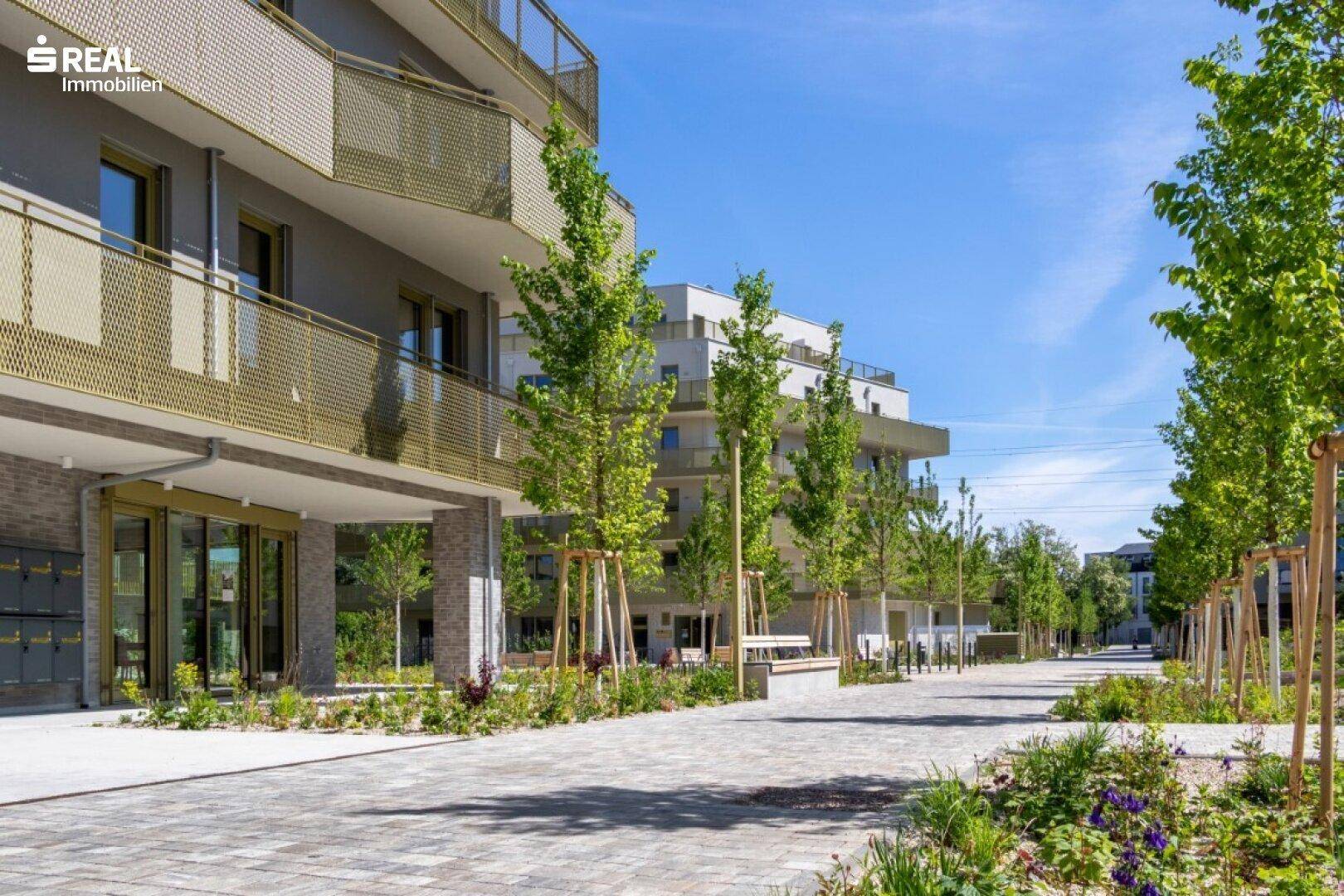 Begrünter Fußweg mit jungen Bäumen und modernen Wohngebäuden im Hintergrund.