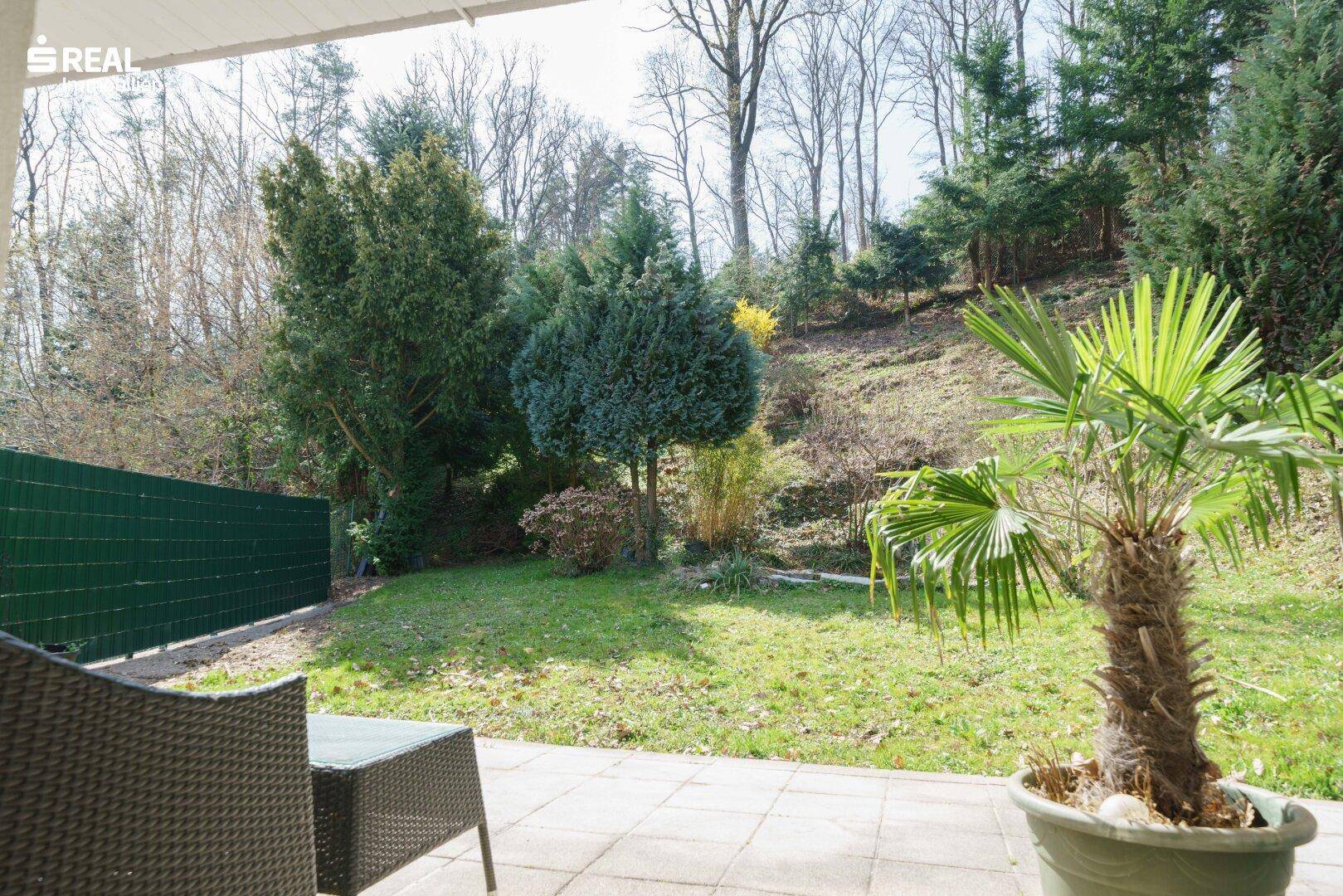 Sonniger Gartenbereich mit Rasen, Bäumen und einer Palme, vom Terrassenbereich aus gesehen.