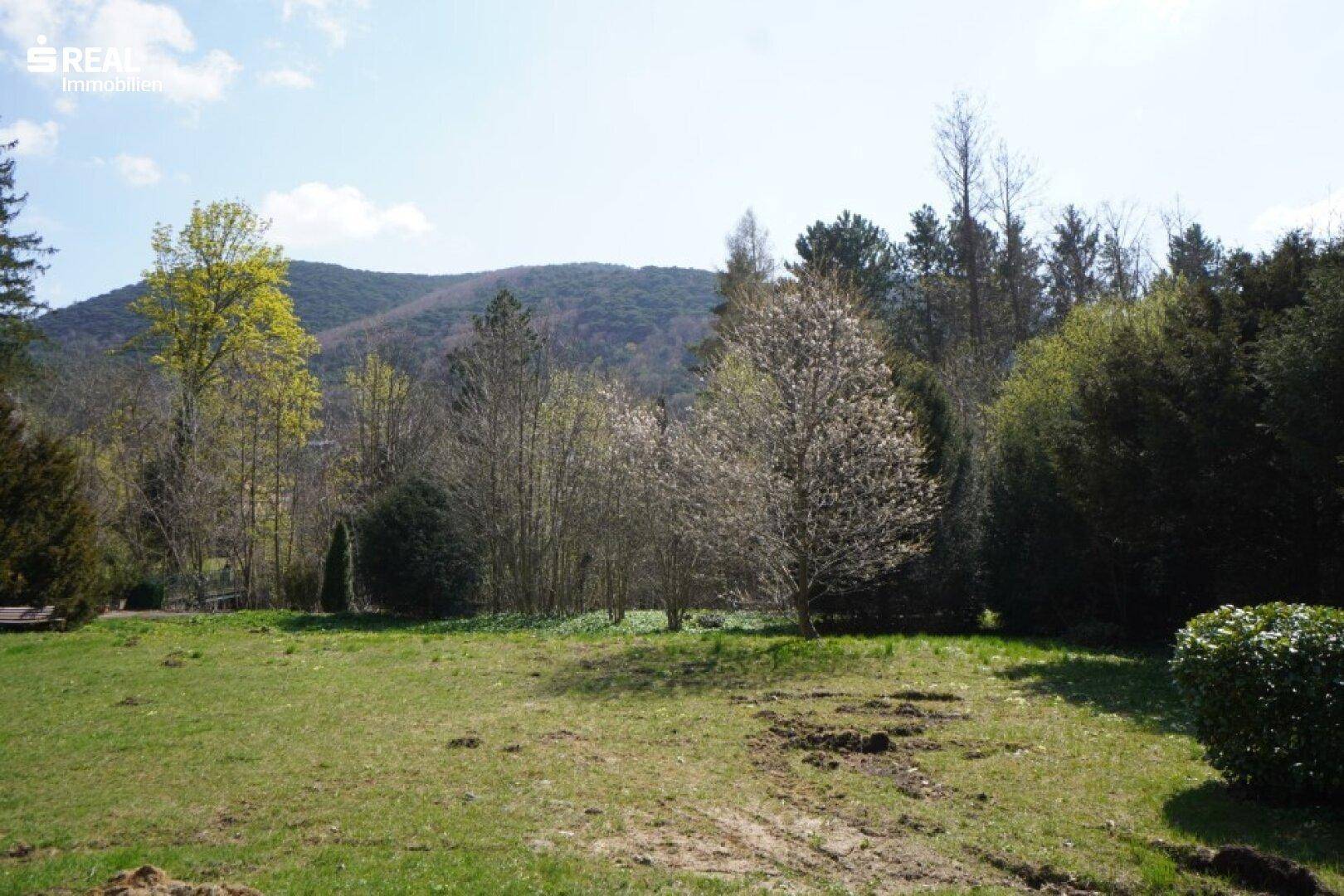 Weitläufiger Gartenbereich mit blühenden Bäumen und Blick auf die bewaldeten Hügel im Hintergrund.
