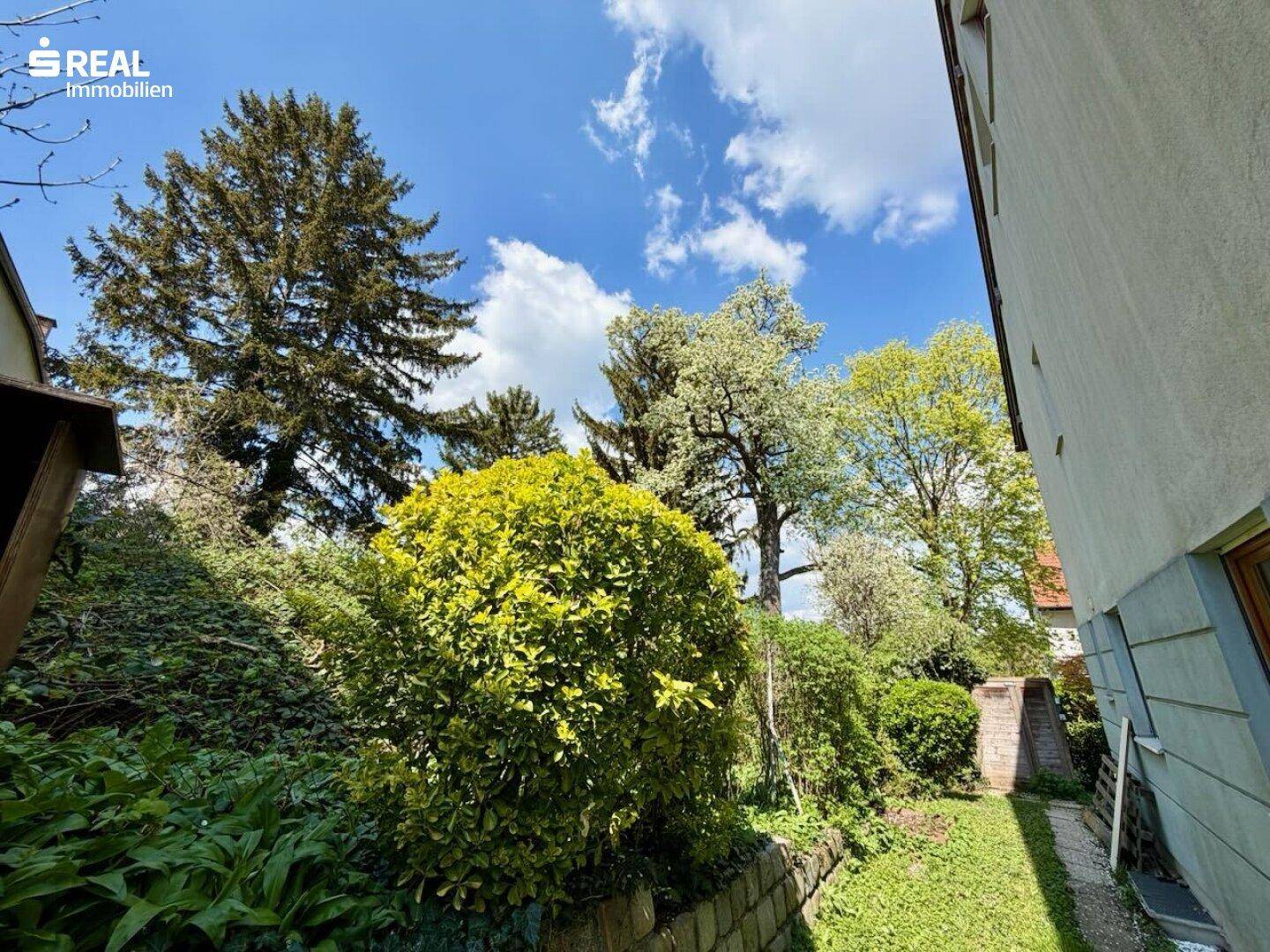 Grüner Gartenbereich mit üppiger Bepflanzung und hohen Bäumen, bietet viel Privatsphäre.