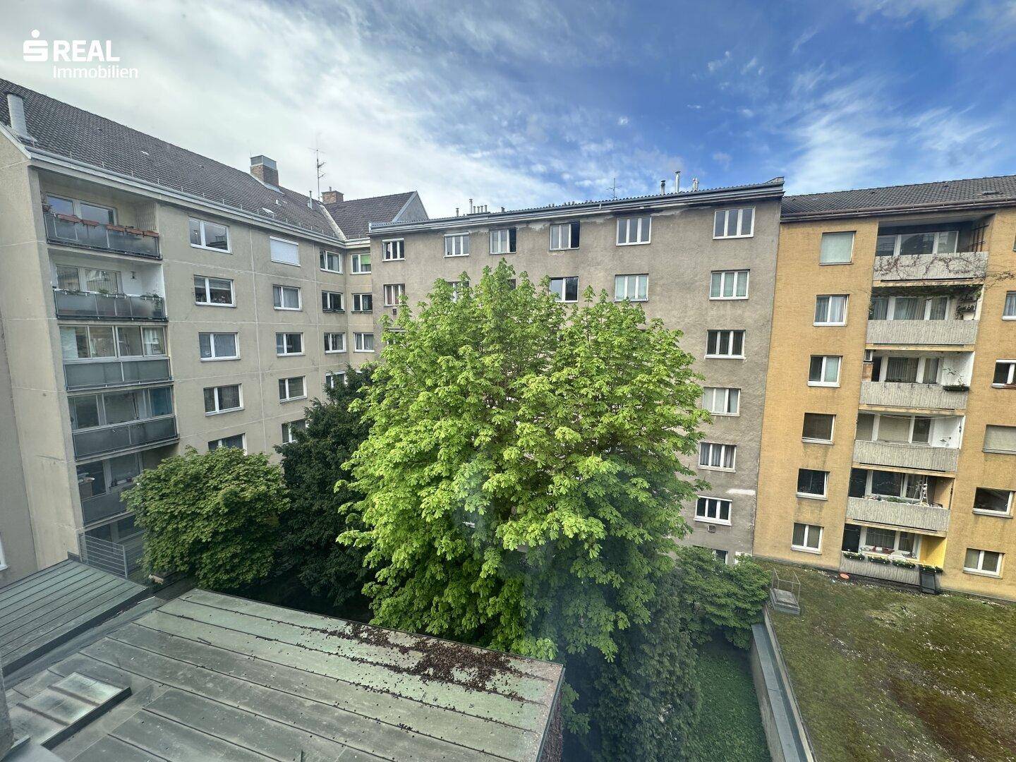 Blick aus dem Fenster auf einen begrünten Innenhof mit Bäumen und umliegenden Gebäuden.