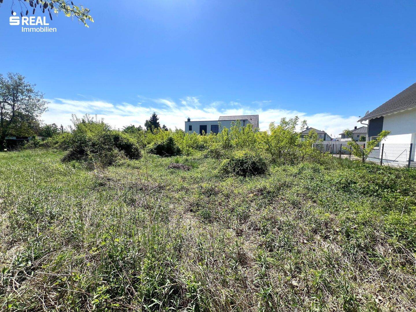 Weitläufiges, unbebautes Grundstück mit üppiger Vegetation und angrenzenden modernen Wohnhäusern.