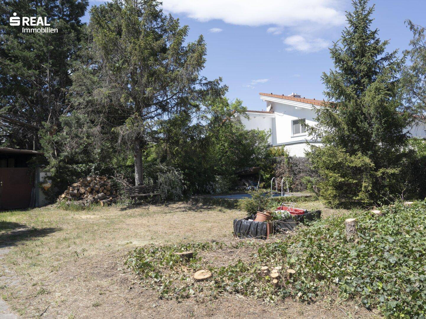 Großer, sonniger Gartenbereich mit Rasenfläche, hohen Bäumen und einem Holzstapel im Hintergrund.