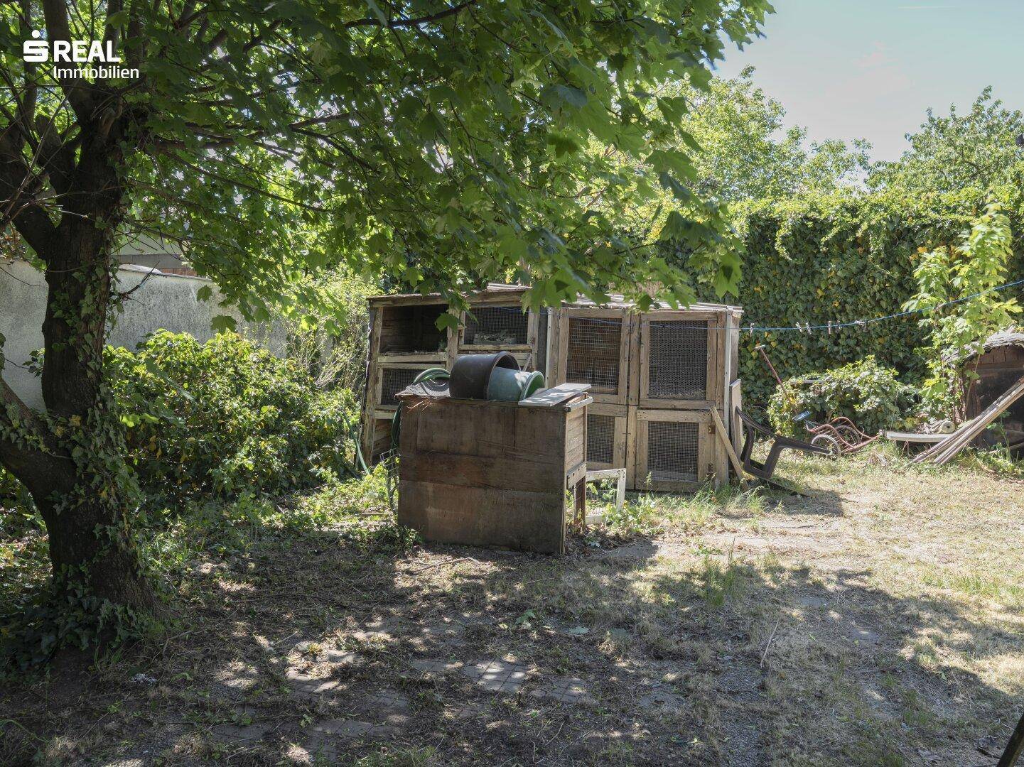 Naturbelassener Gartenbereich mit alten Bäumen und provisorischen Holzstrukturen im Hintergrund.