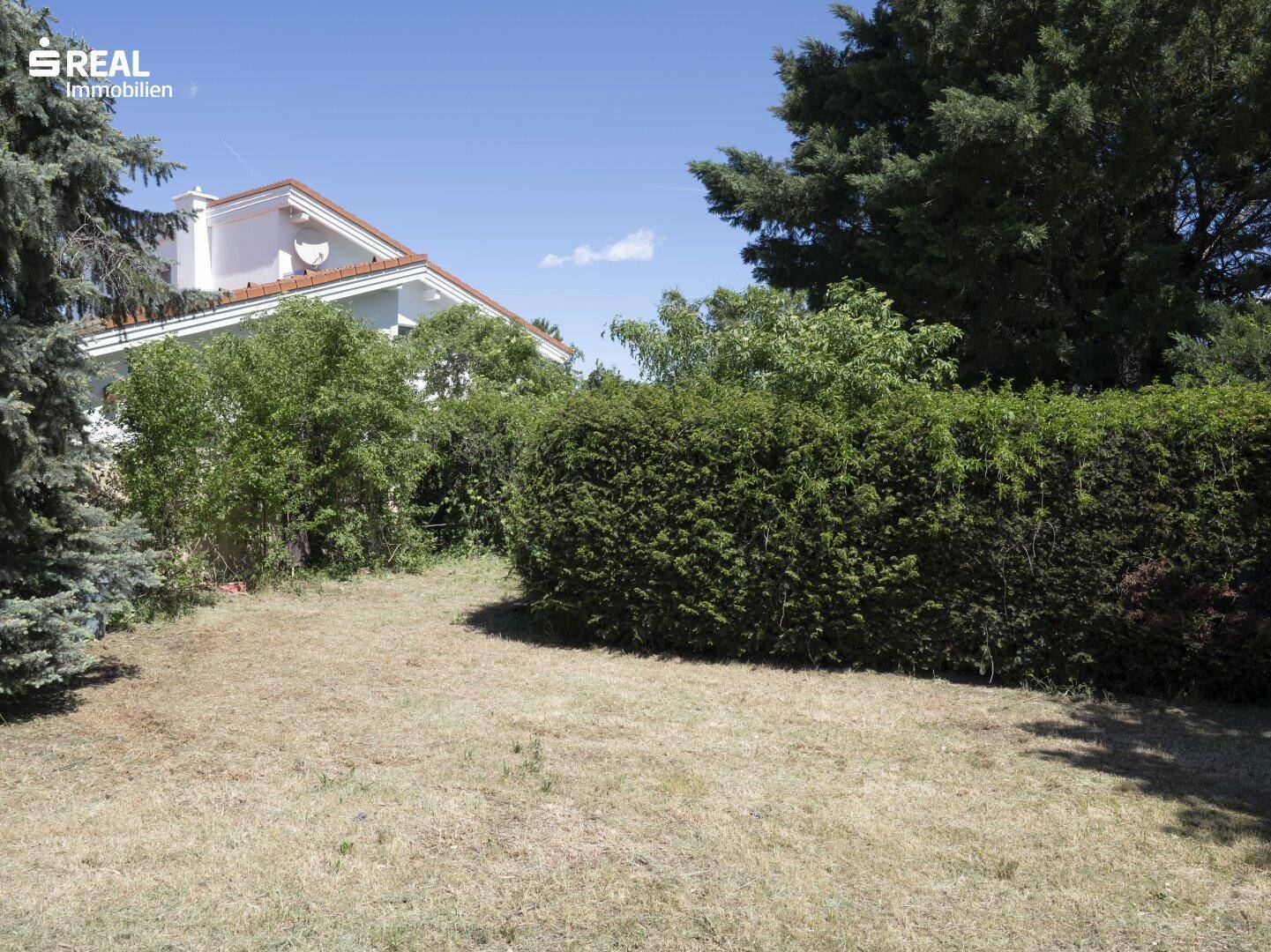 Gepflegter Gartenbereich mit Rasenfläche, einer hohen Hecke und Bäumen im Hintergrund.