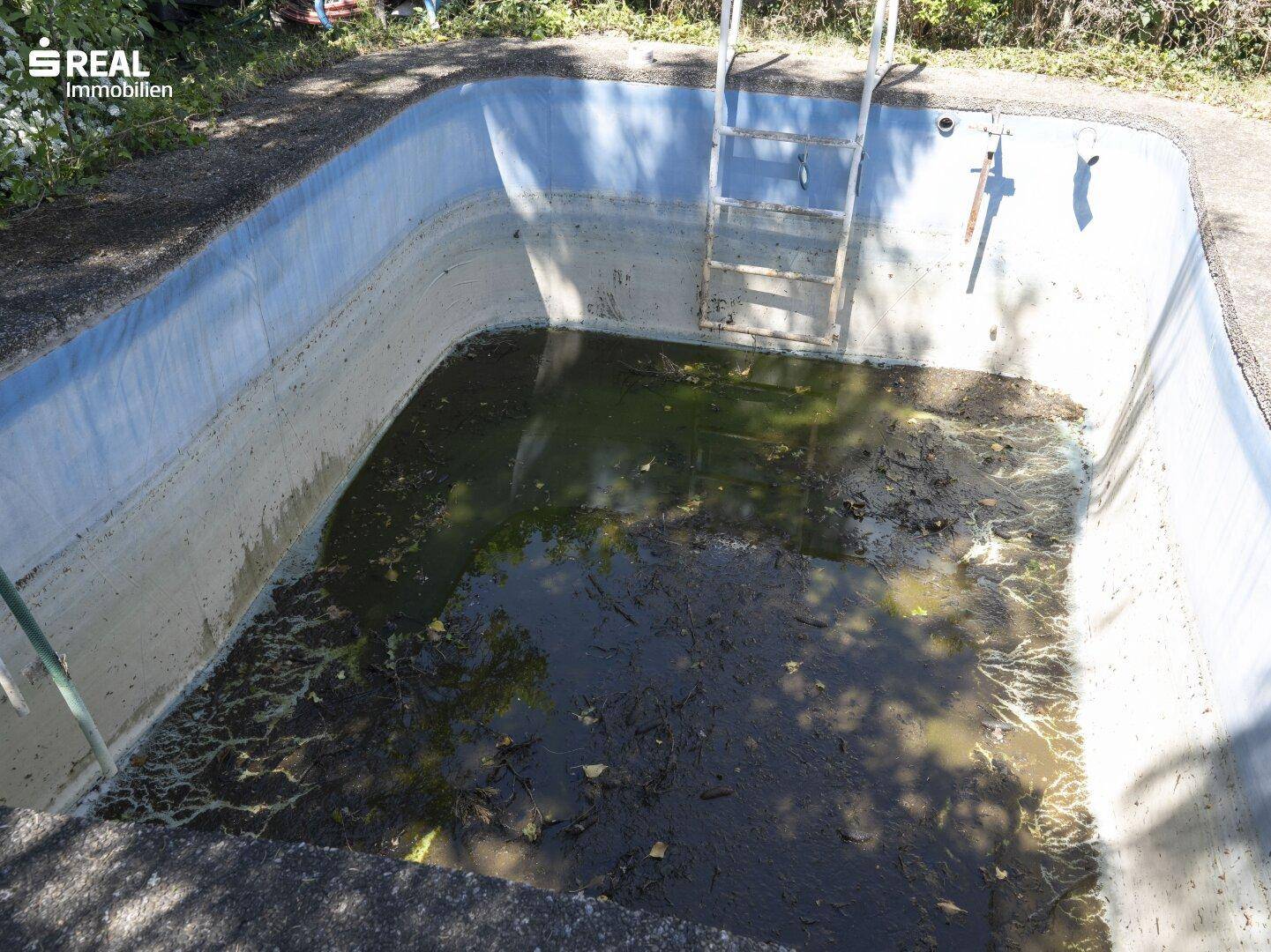 Nahaufnahme eines leeren, renovierungsbedürftigen Pools mit Leiter und schmutzigem Wasser.