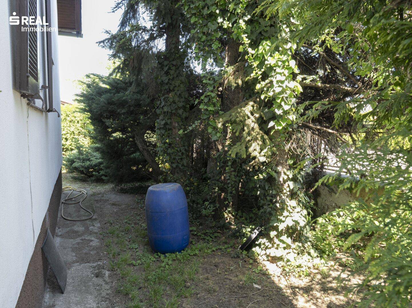 Weiterer Blick auf den seitlichen Garten mit üppigem Grün und einem blauen Regenfass.