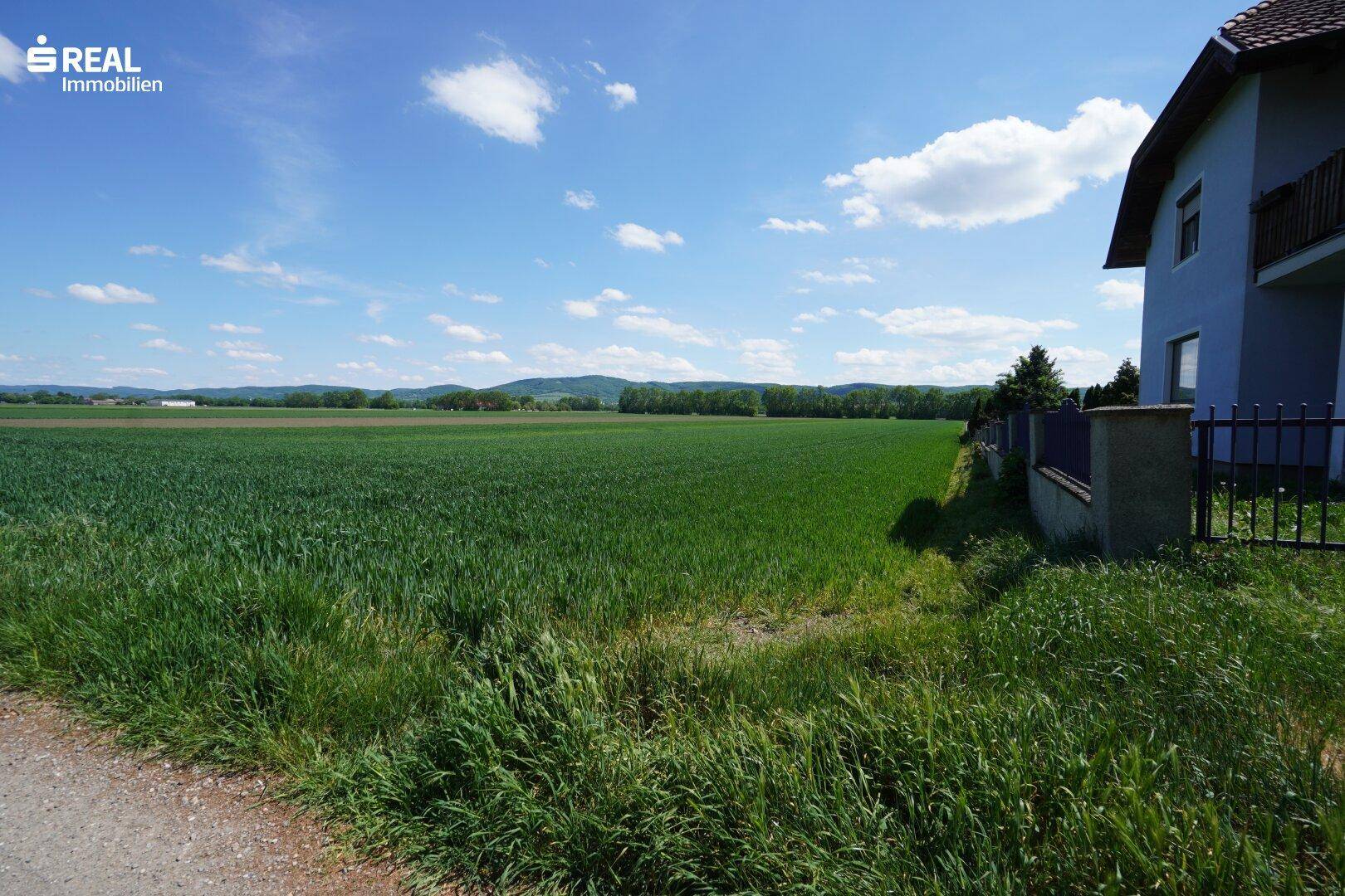 Blick auf ein weites grünes Feld neben einem hellblauen Haus unter strahlend blauem Himmel.