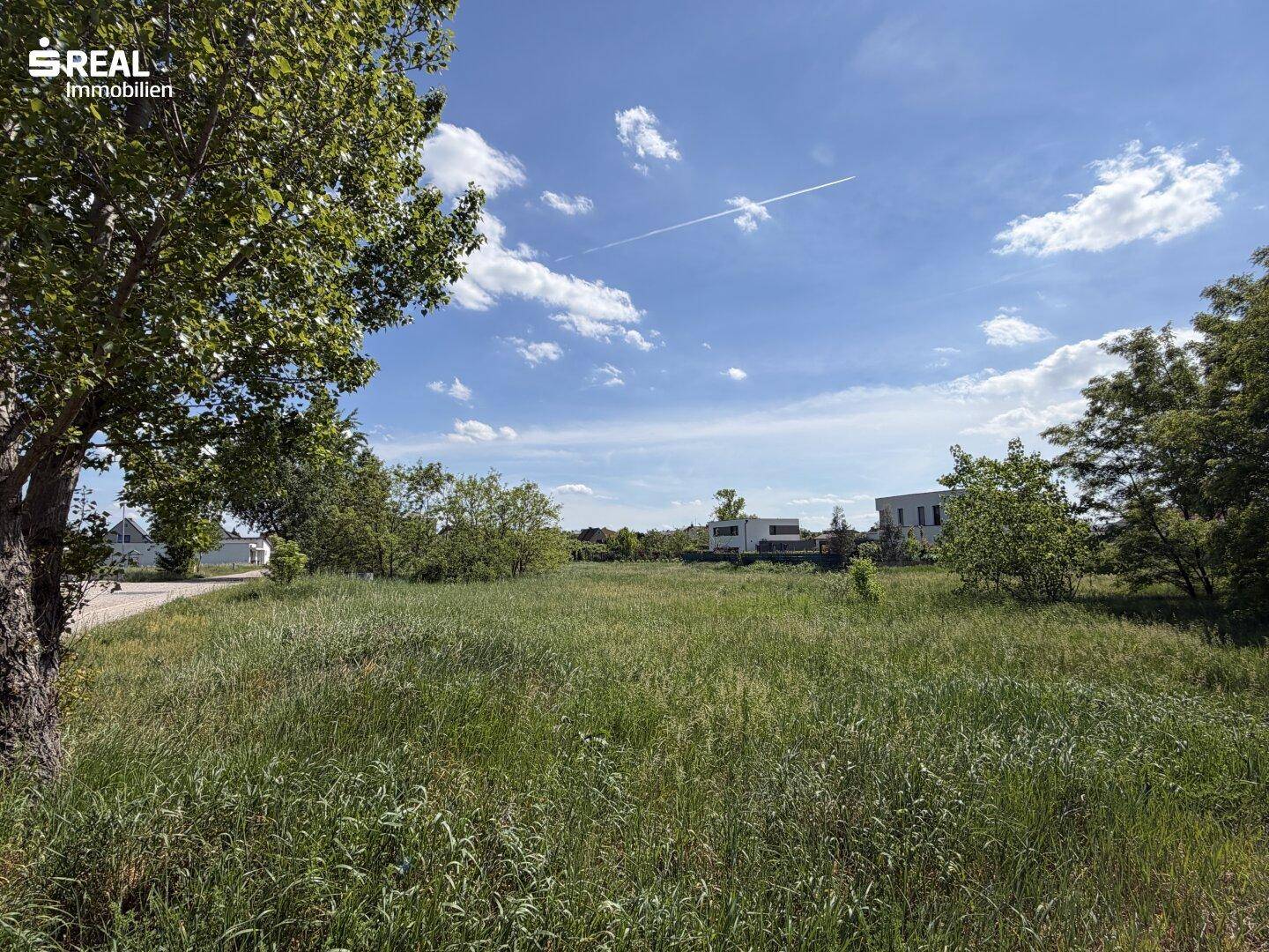 Offenes Feld mit hohem Gras, umgeben von Bäumen und modernen Gebäuden in der Ferne unter klarem Himmel.