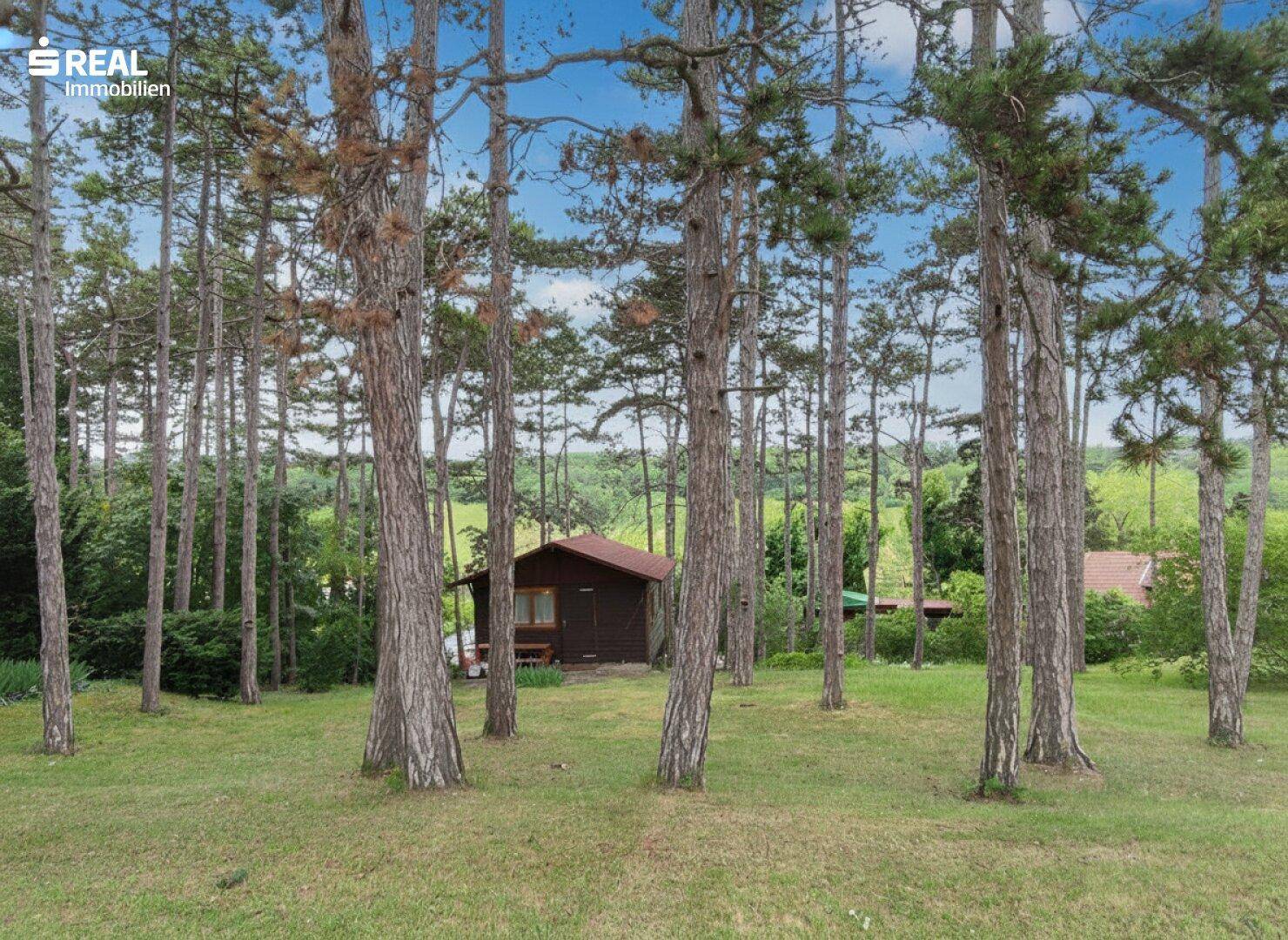 Panoramablick über eine gepflegte Rasenfläche mit vielen Bäumen und einer Holzhütte.