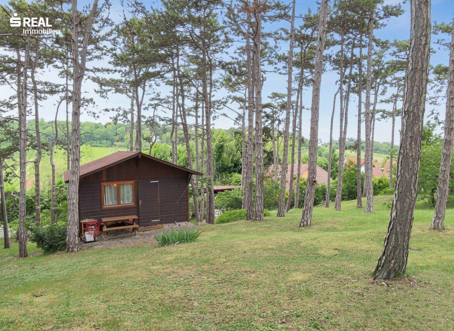 Kleine Holzhütte mit Picknicktisch in einer grünen Wiese, umgeben von hohen Bäumen.