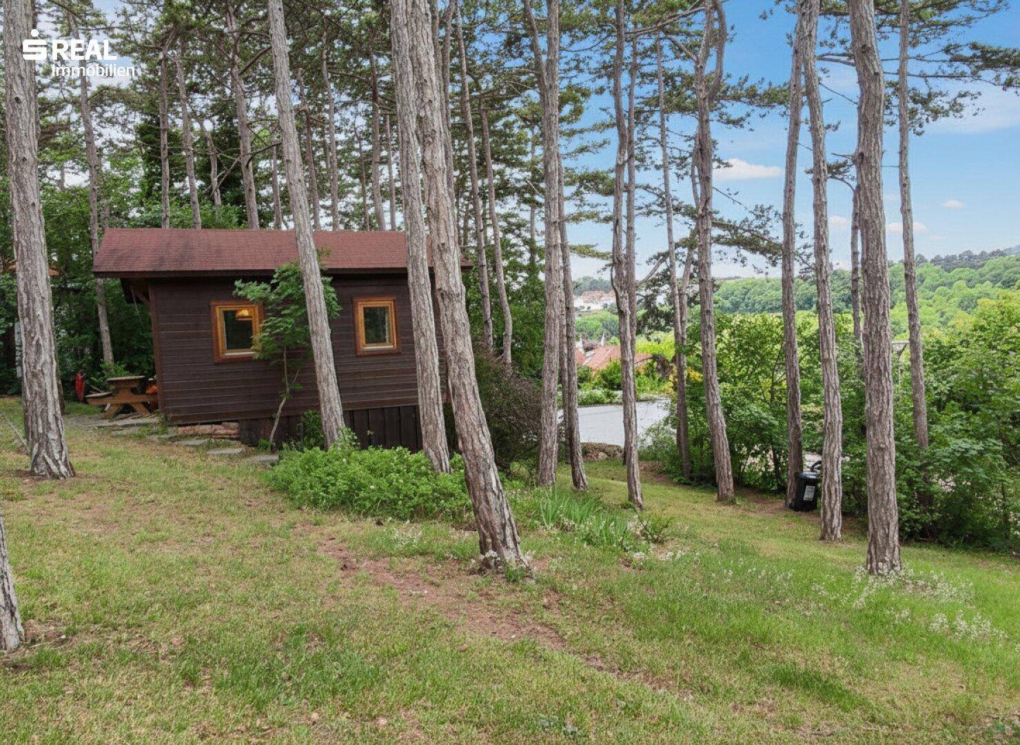 Rustikale Holzhütte mit kleinen Fenstern, eingebettet in eine grüne Landschaft mit vielen Bäumen.