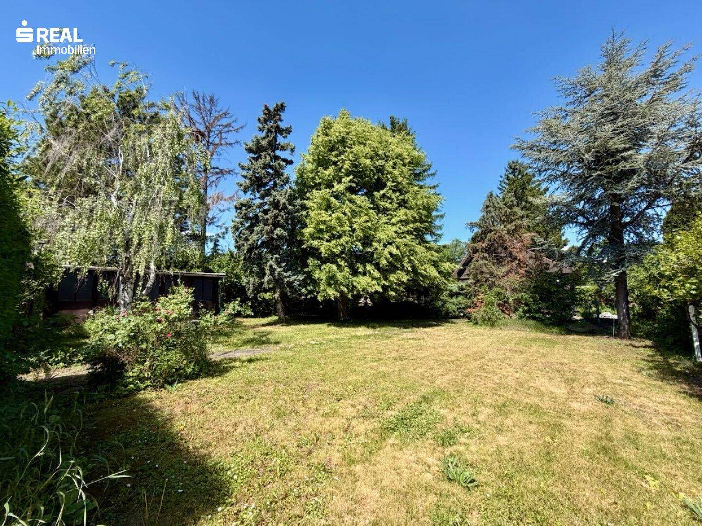 Weitläufiger Gartenbereich mit altem Baumbestand und sonniger Rasenfläche unter klarem Himmel.
