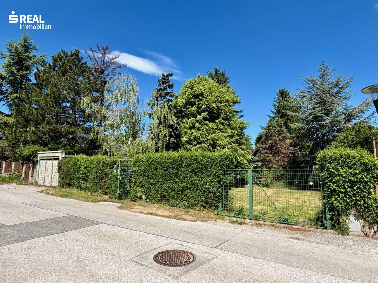 Blick von der Straße auf eine grüne Hecke und hohe Bäume, die das Grundstück abgrenzen.