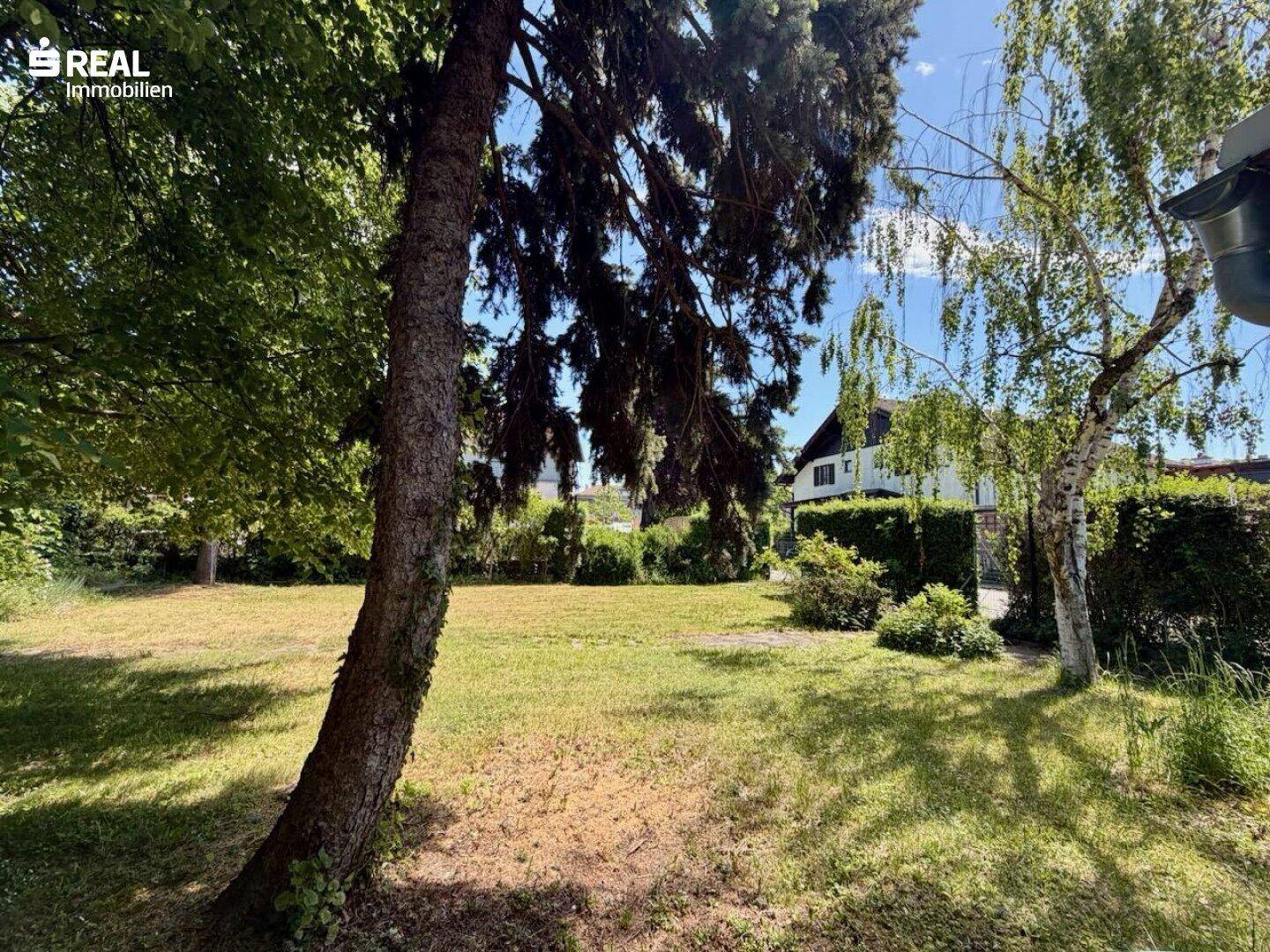 Sonniger Garten mit großen Bäumen und Blick auf ein traditionelles Haus im Hintergrund.