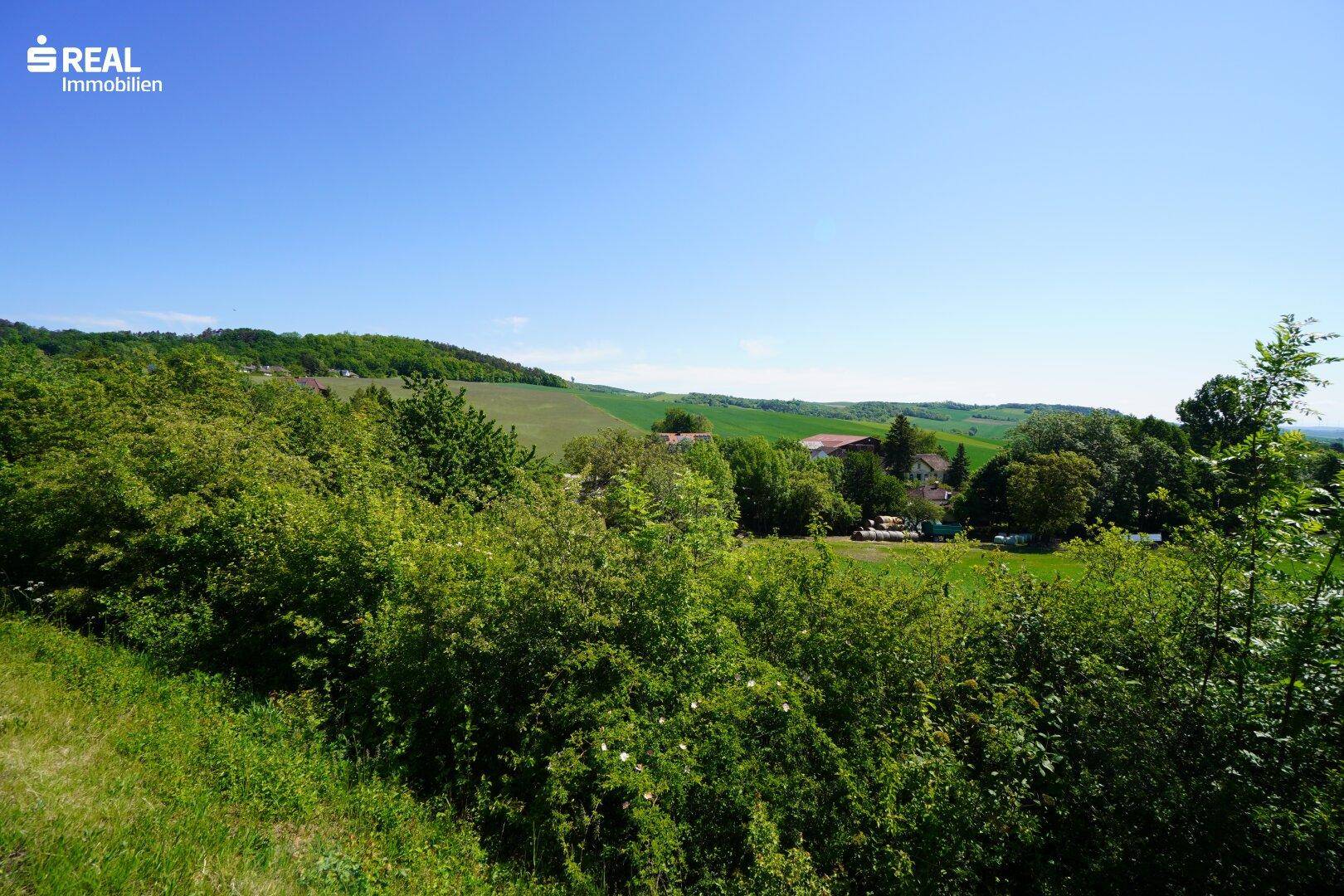 Weitläufiger Blick über die grüne Hügellandschaft und die ländliche Umgebung.