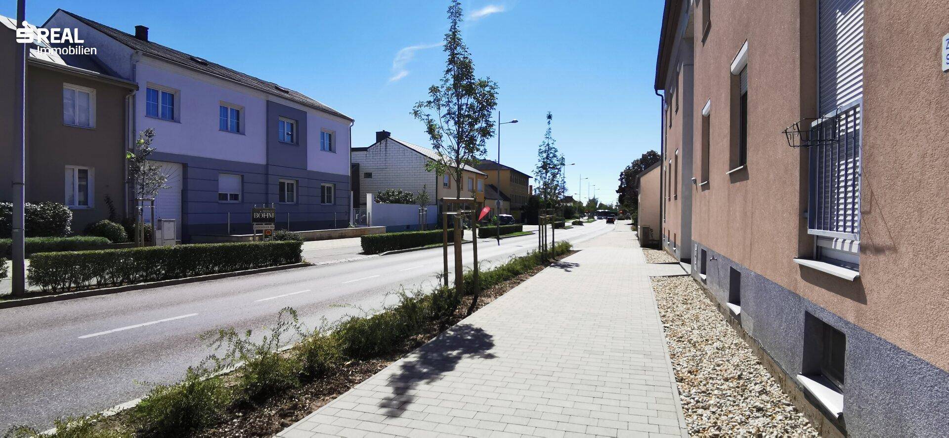 Ruhige Wohnstraße mit gepflegten Häusern, Bürgersteig und jungen Bäumen an einem sonnigen Tag.