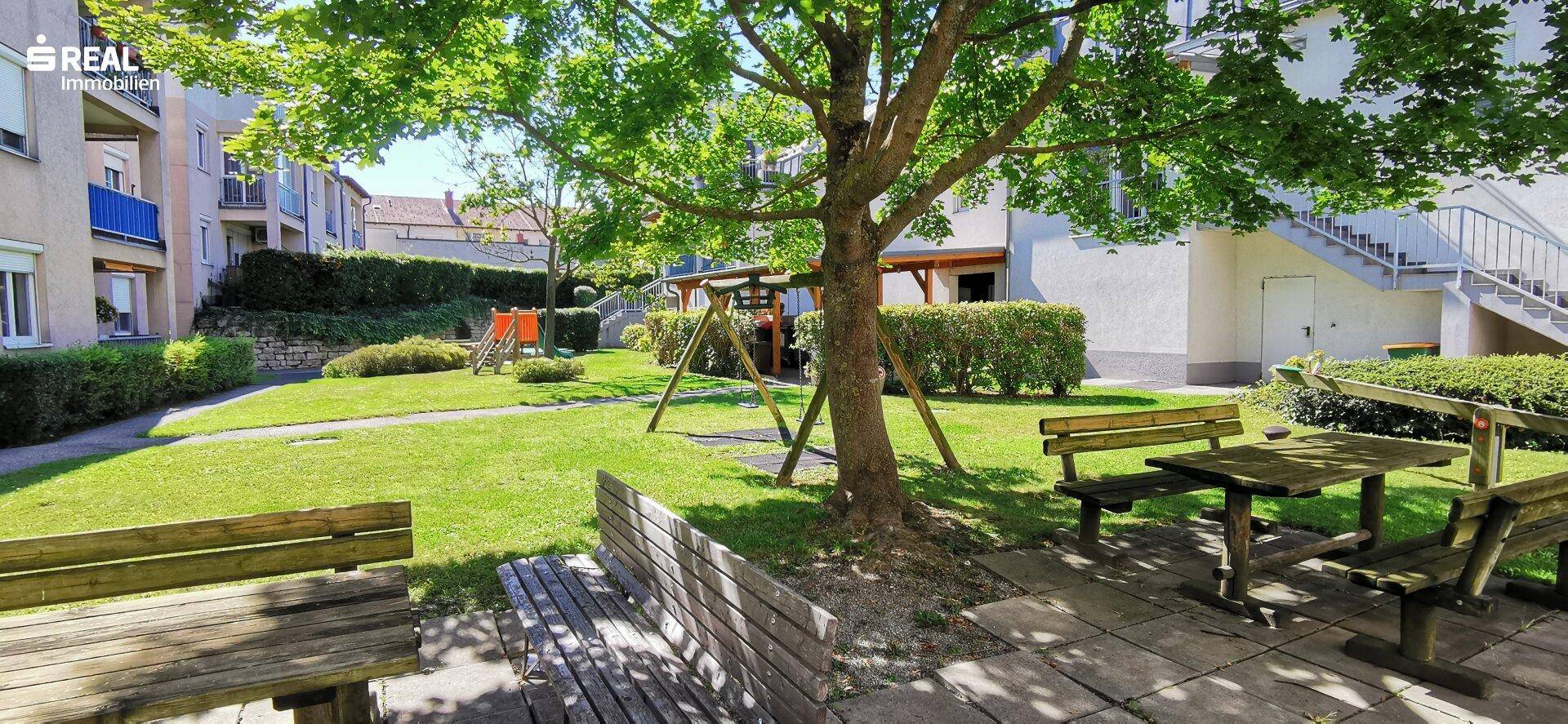 Gemeinschaftlicher Gartenbereich mit Rasen, schattenspendenden Bäumen und Holzbänken zum Verweilen.