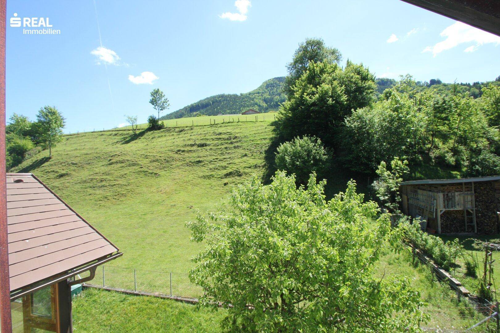 Weitläufiger Blick auf die grüne Hügellandschaft und bewaldete Berge unter blauem Himmel.
