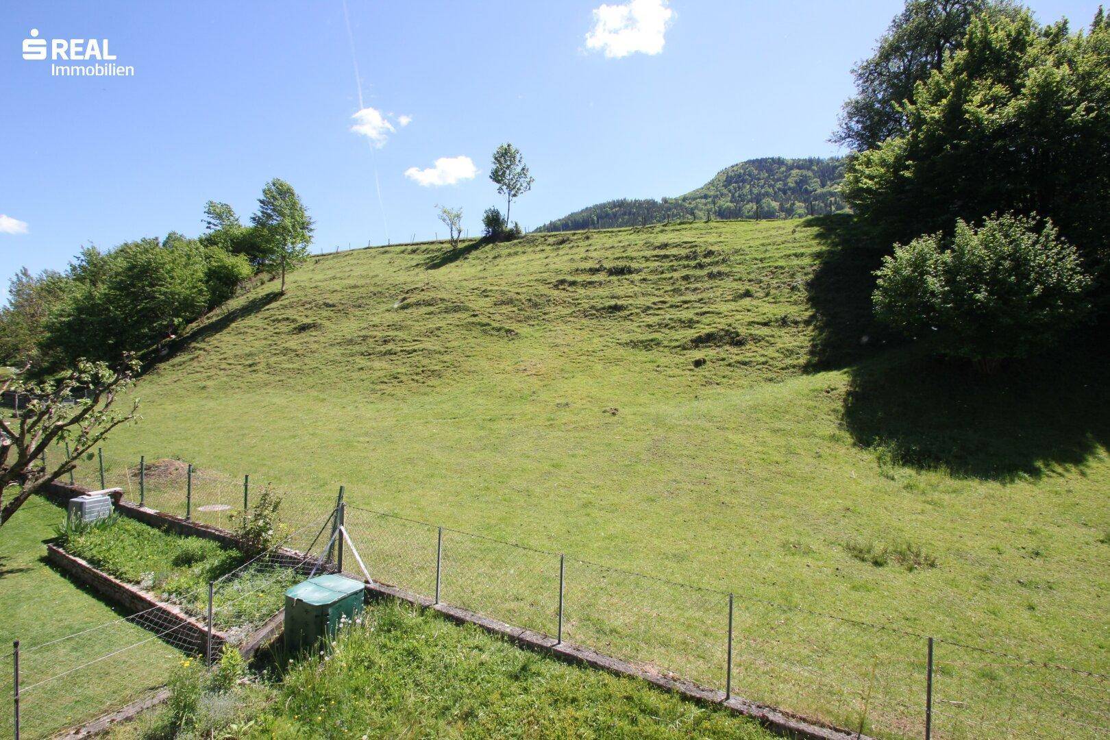 Panoramablick auf die idyllische, grüne Berglandschaft mit weitläufigen Wiesen und Wäldern.