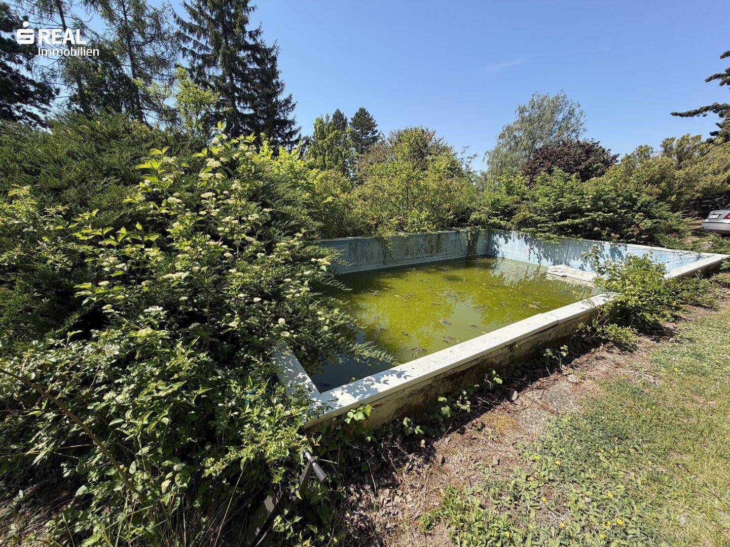 Alter, ungenutzter Swimmingpool im Garten, umgeben von Sträuchern und Bäumen an einem sonnigen Tag.
