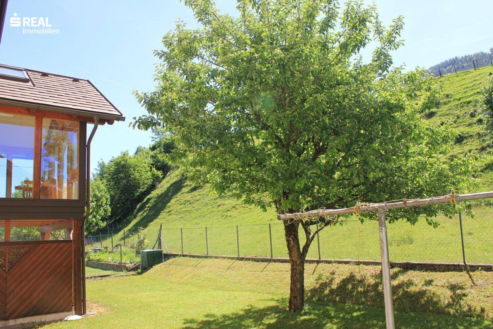 Sonniger Garten mit Obstbaum und weitem Blick auf die grüne Hügellandschaft und den Wald.