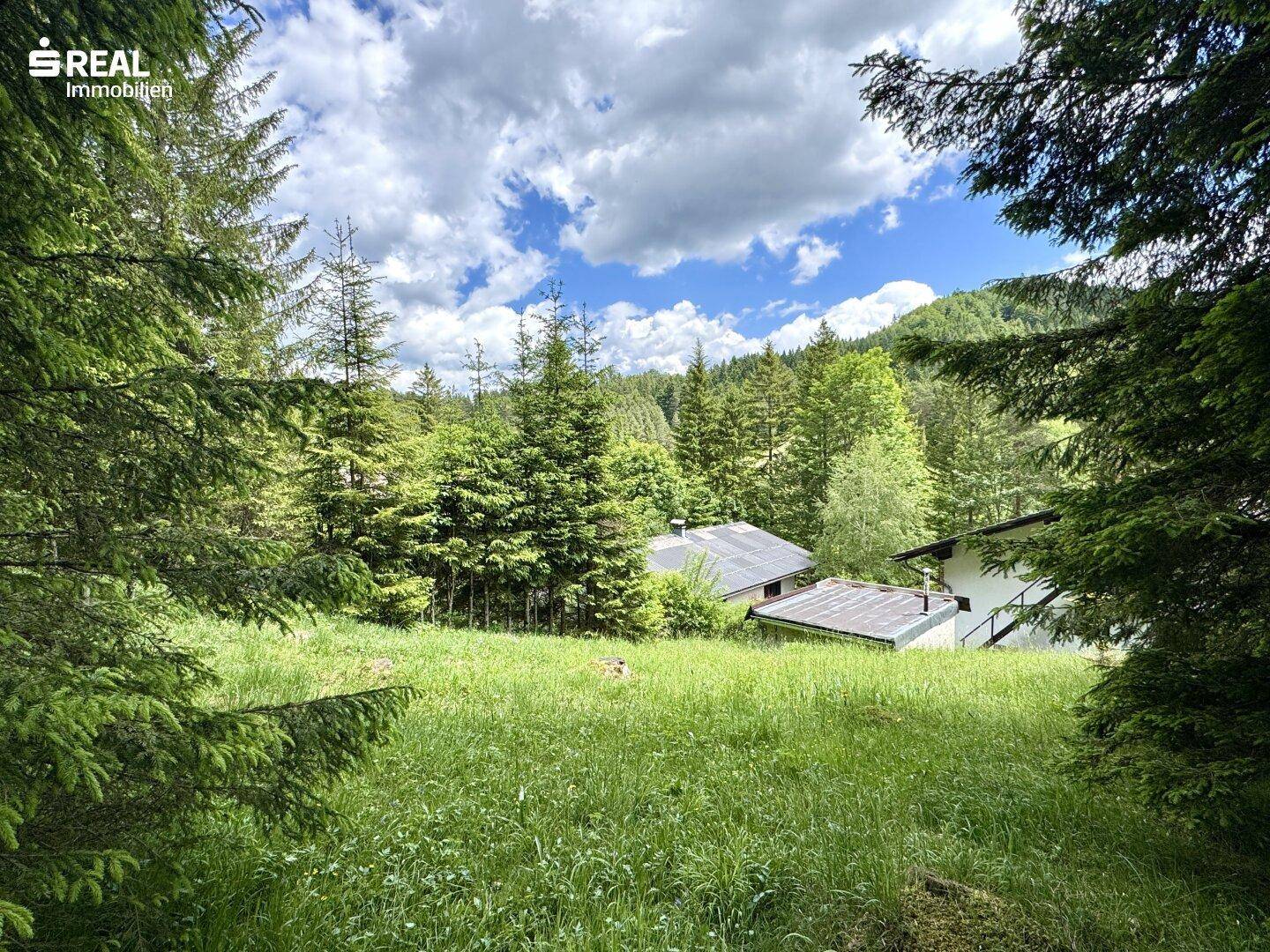 Malerischer Blick auf das Anwesen, eingebettet in eine grüne Waldlandschaft unter blauem Himmel.